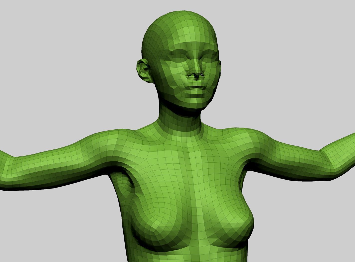 Female Anatomy A 3D model_19