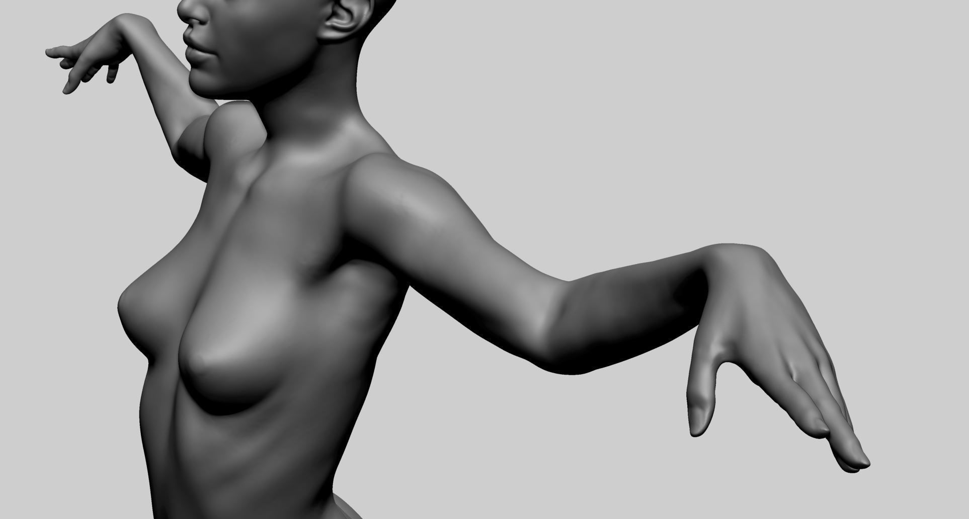 Female Anatomy A 3D model_13