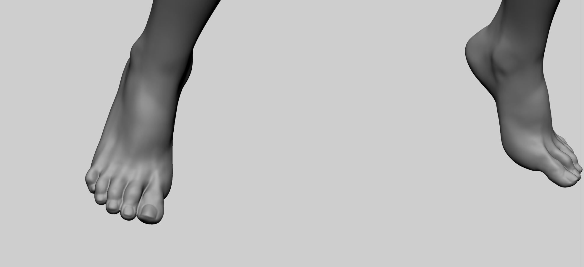 Female Anatomy A 3D model_17