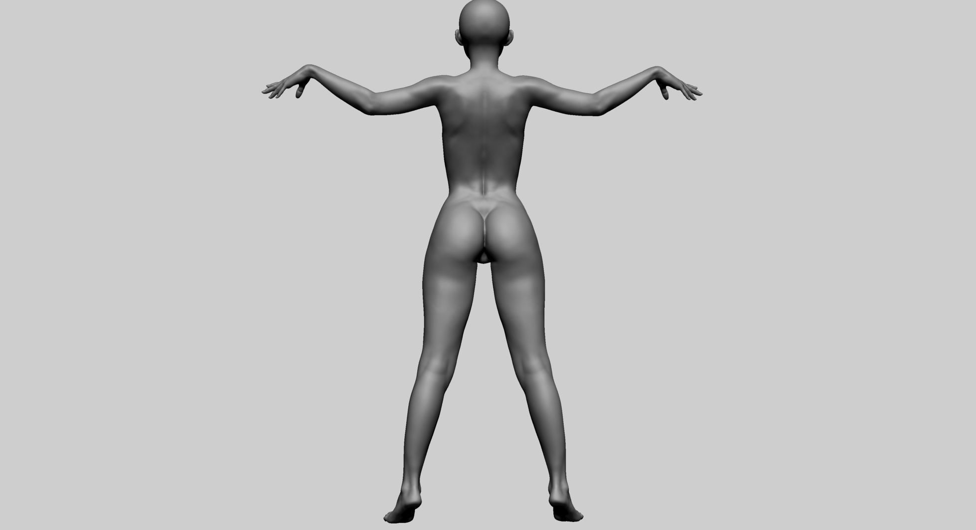 Female Anatomy A 3D model_5