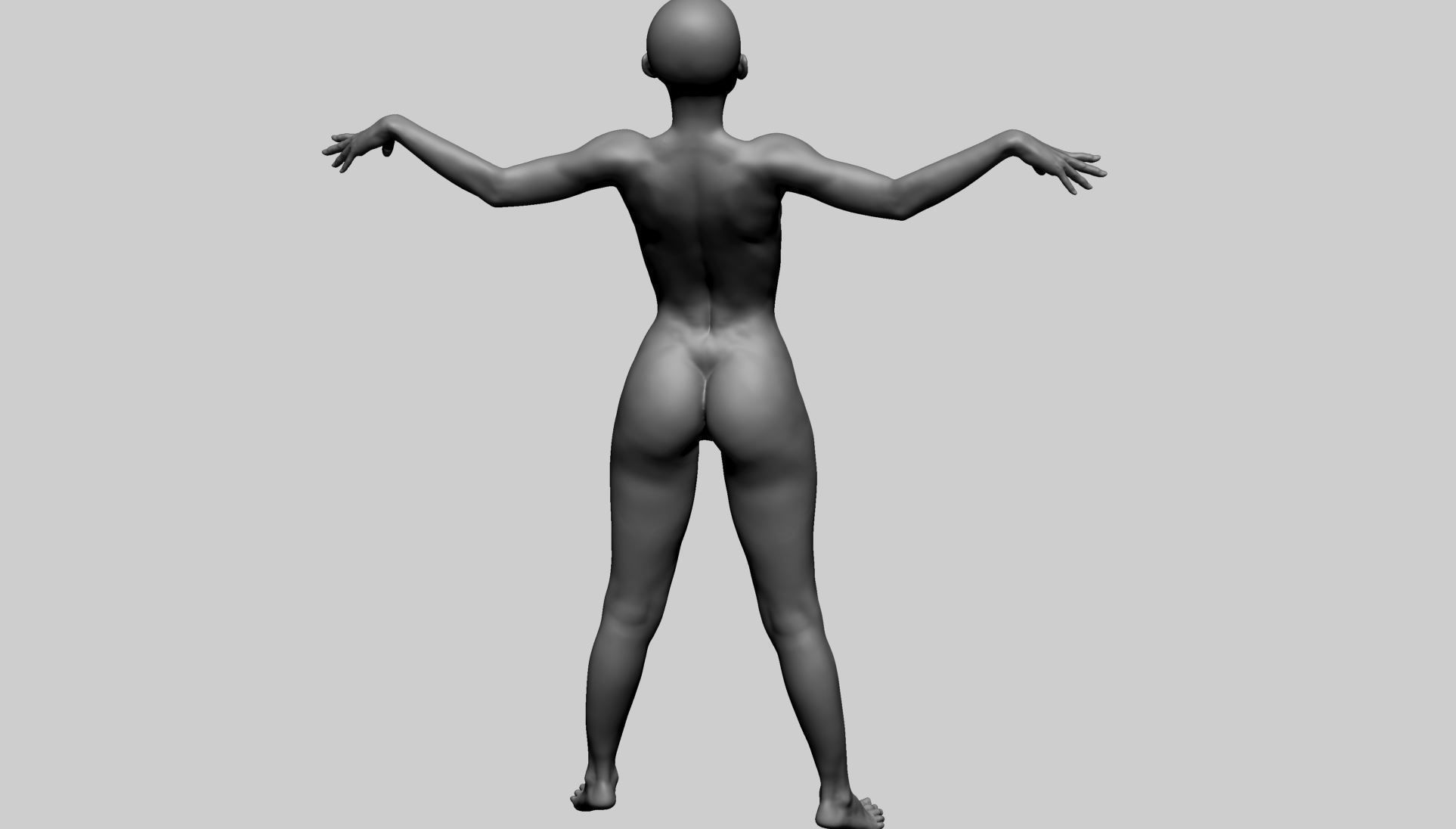 Female Anatomy A 3D model_10