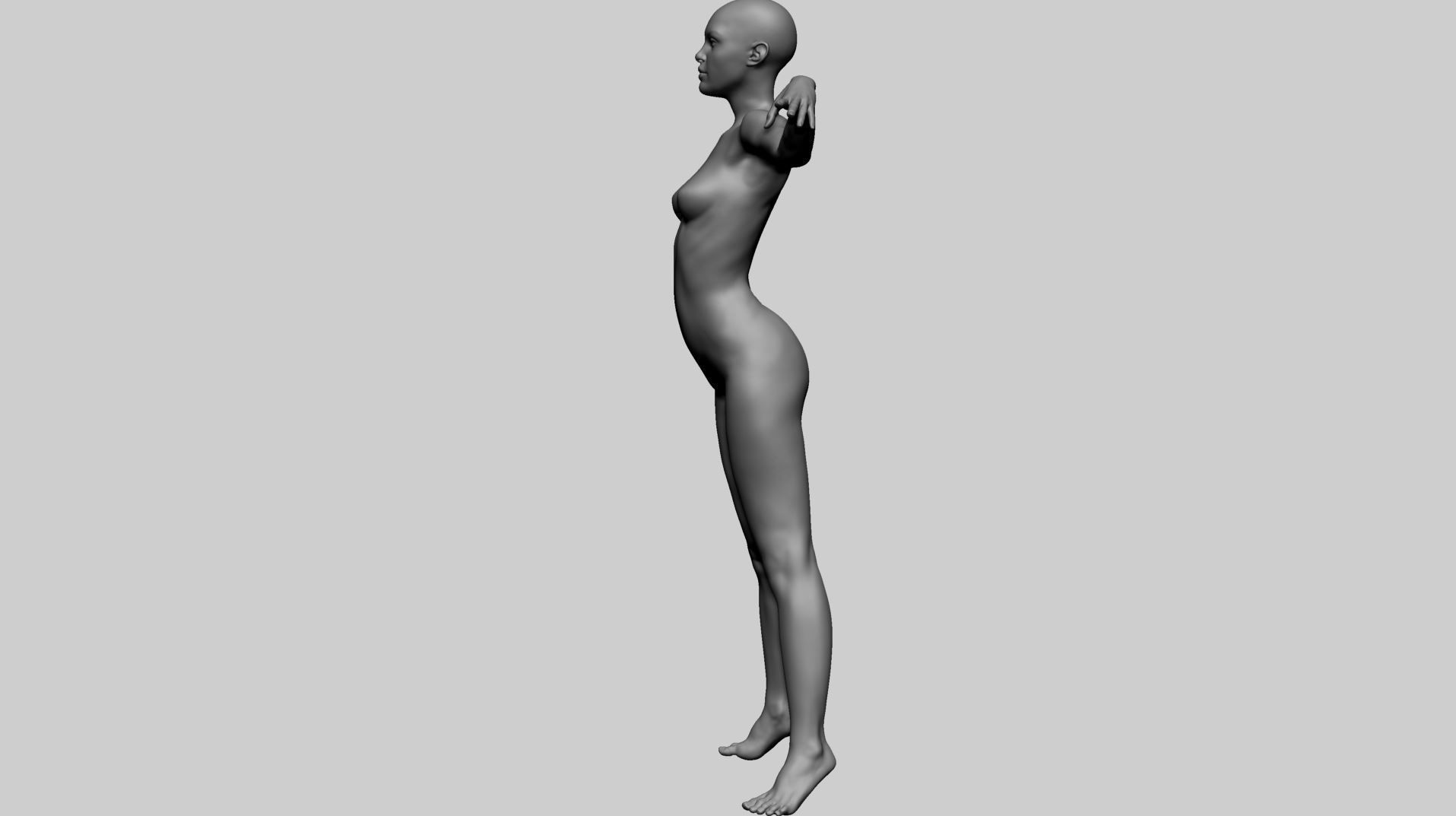 Female Anatomy A 3D model_8