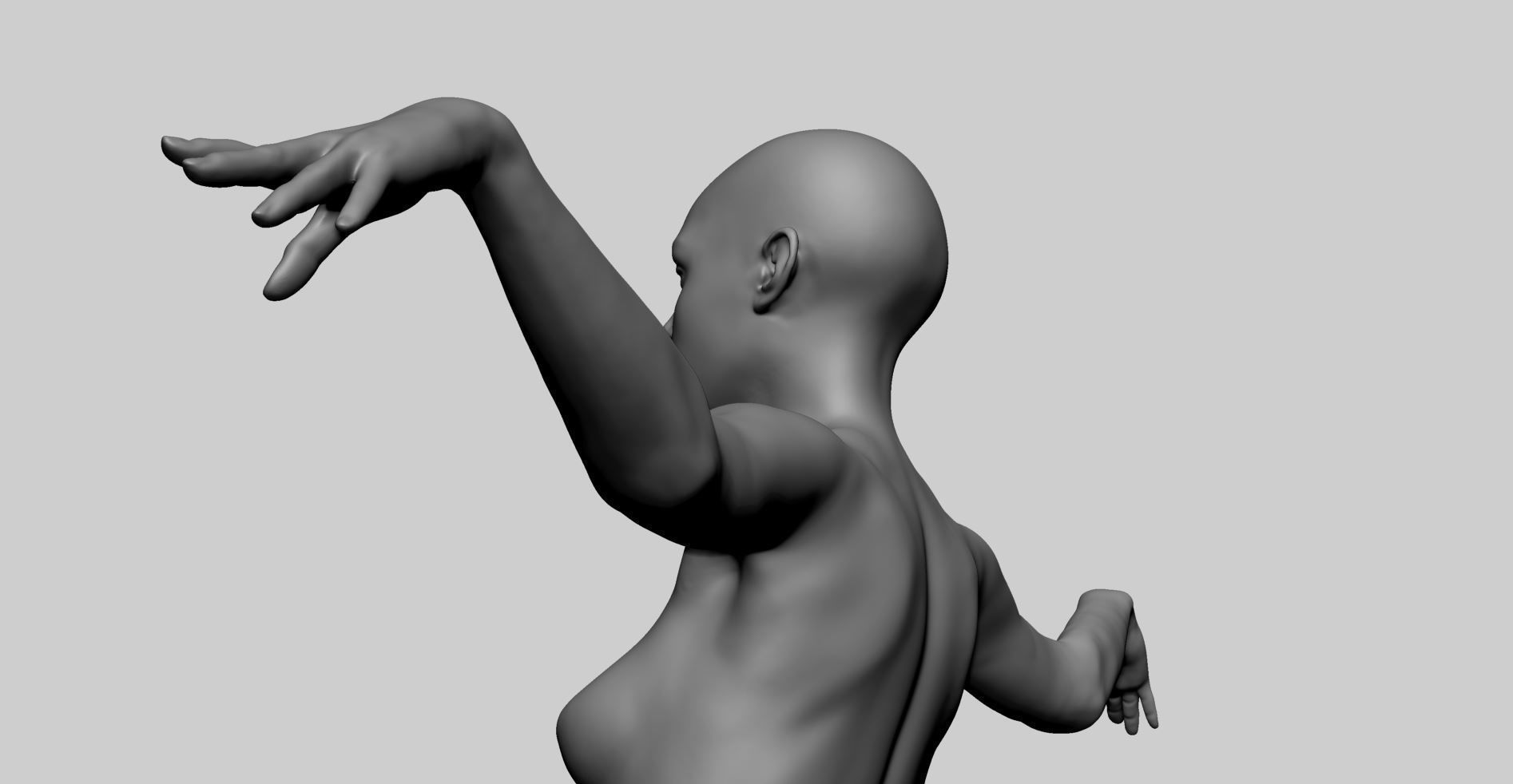 Female Anatomy A 3D model_14