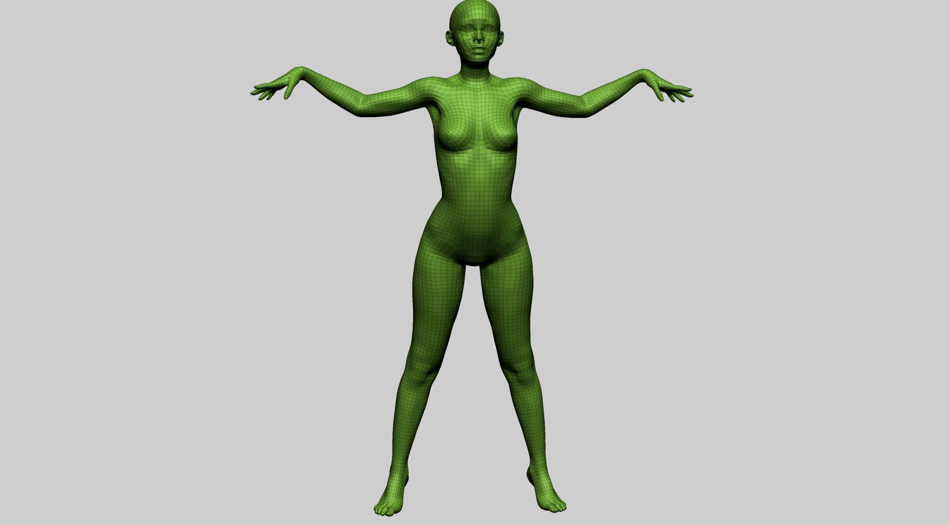 Female Anatomy A 3D model_18