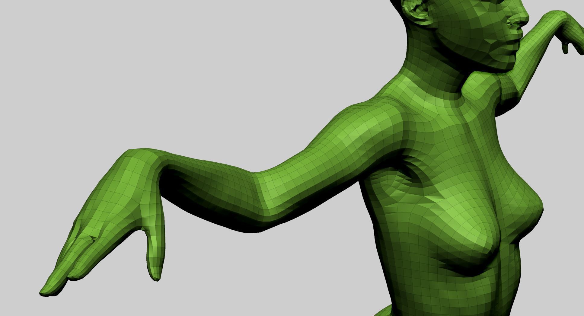 Female Anatomy A 3D model_21