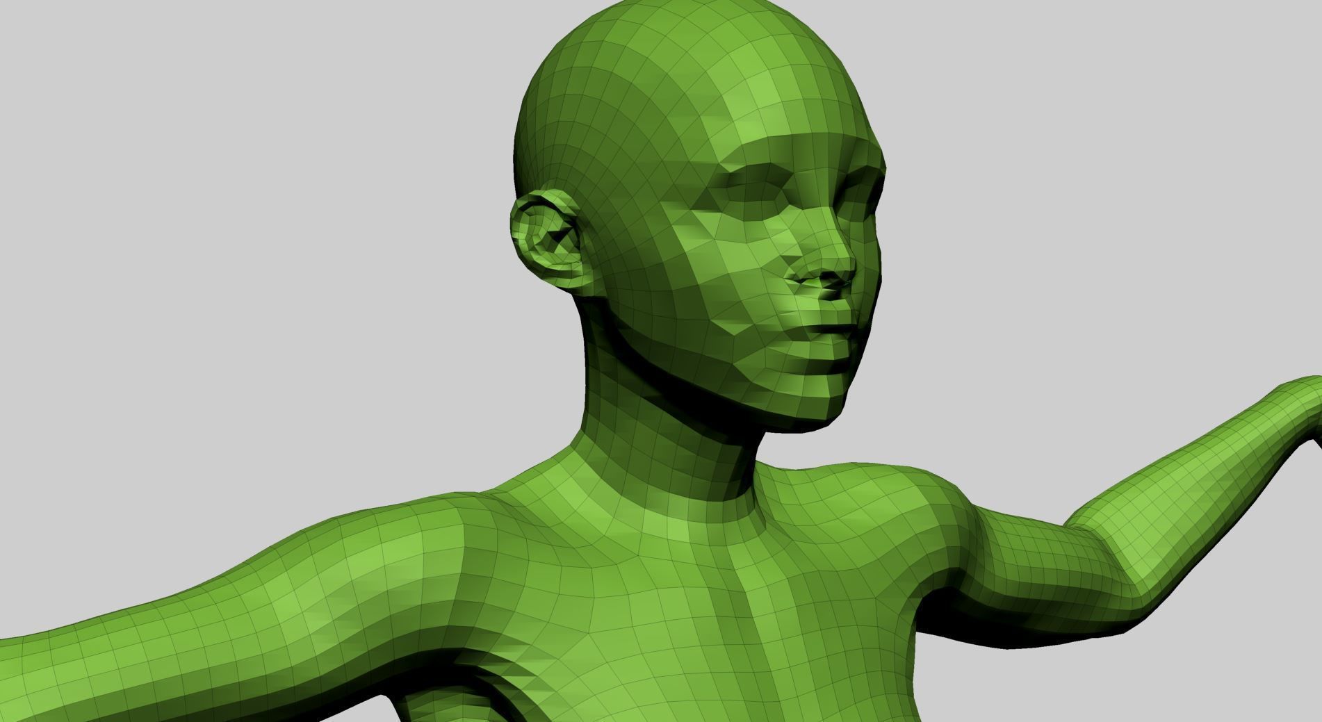 Female Anatomy A 3D model_20