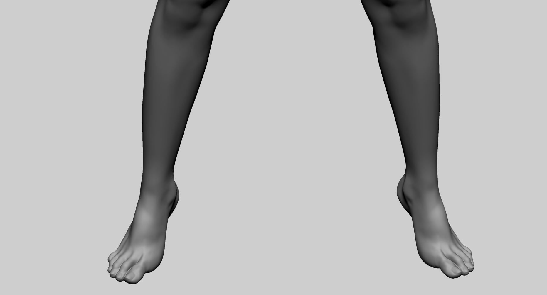 Female Anatomy A 3D model_15