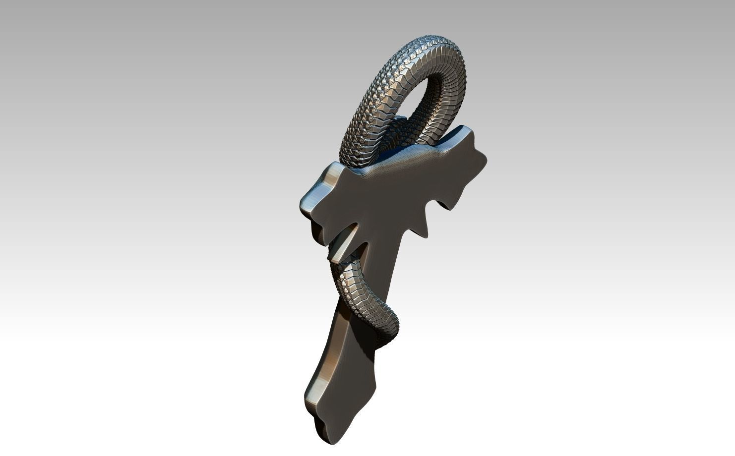 Cross with Snake 3D print model_3