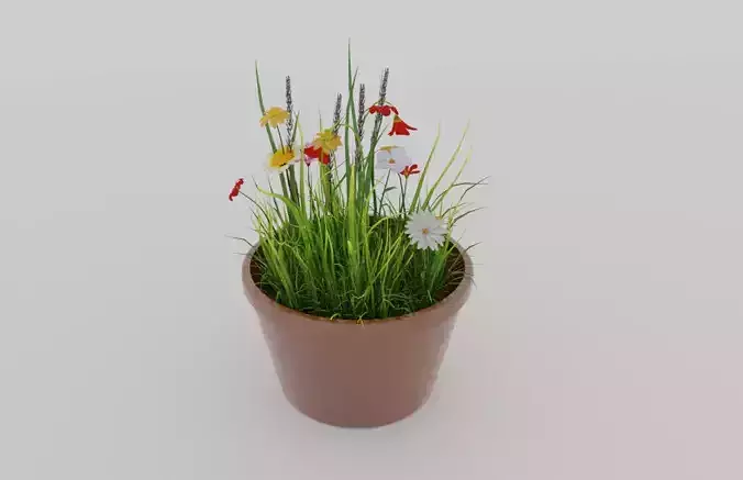 cute flowerpot