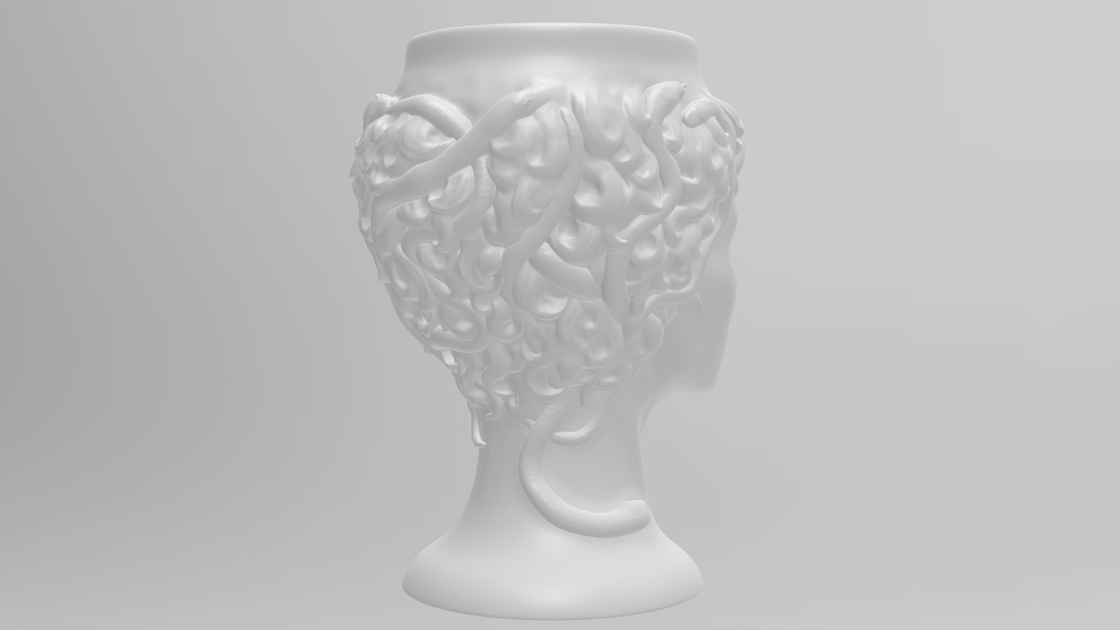 Medusa Gorgon vase 3d print model 3D print model_16