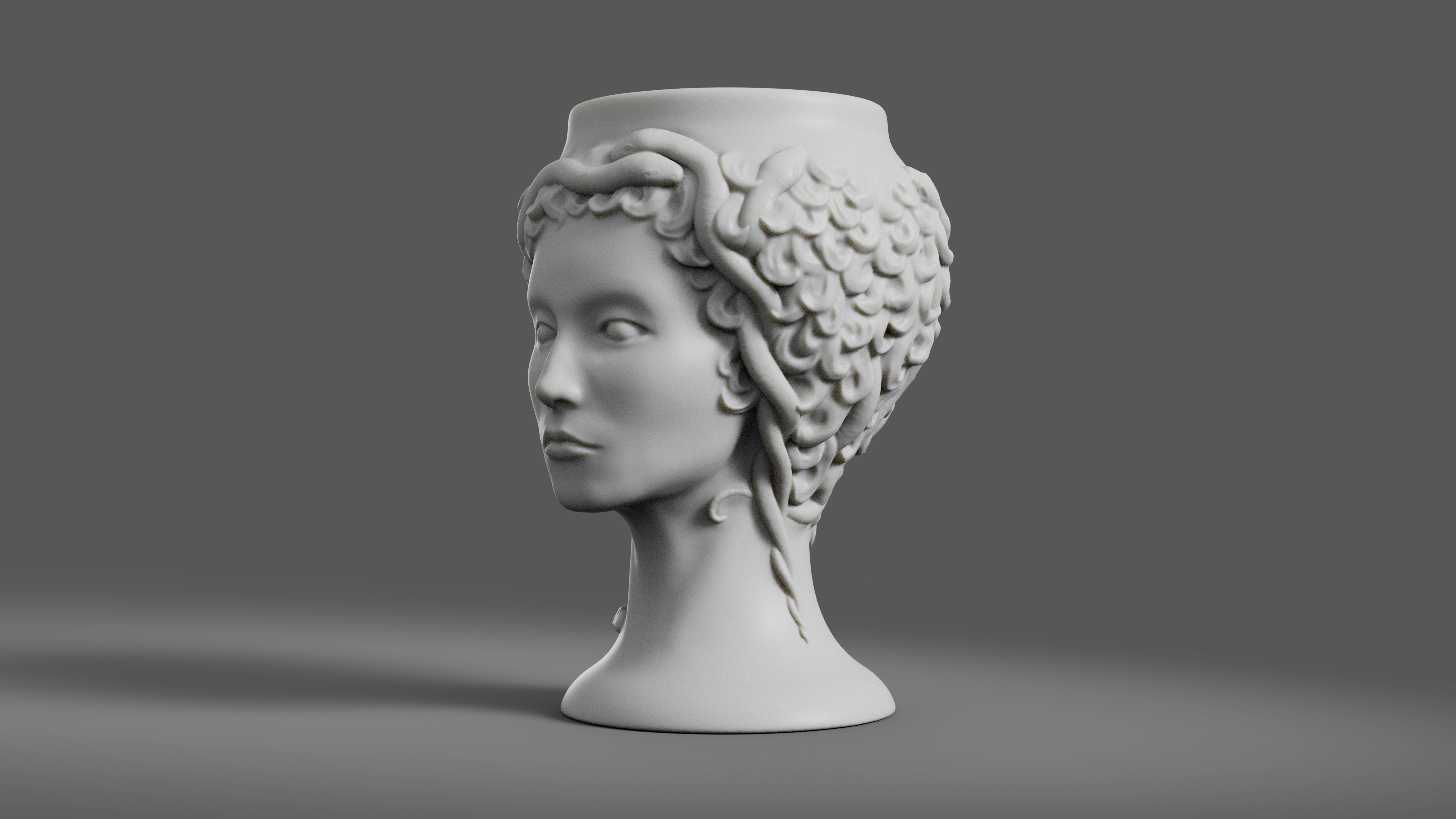 Medusa Gorgon vase 3d print model 3D print model_5