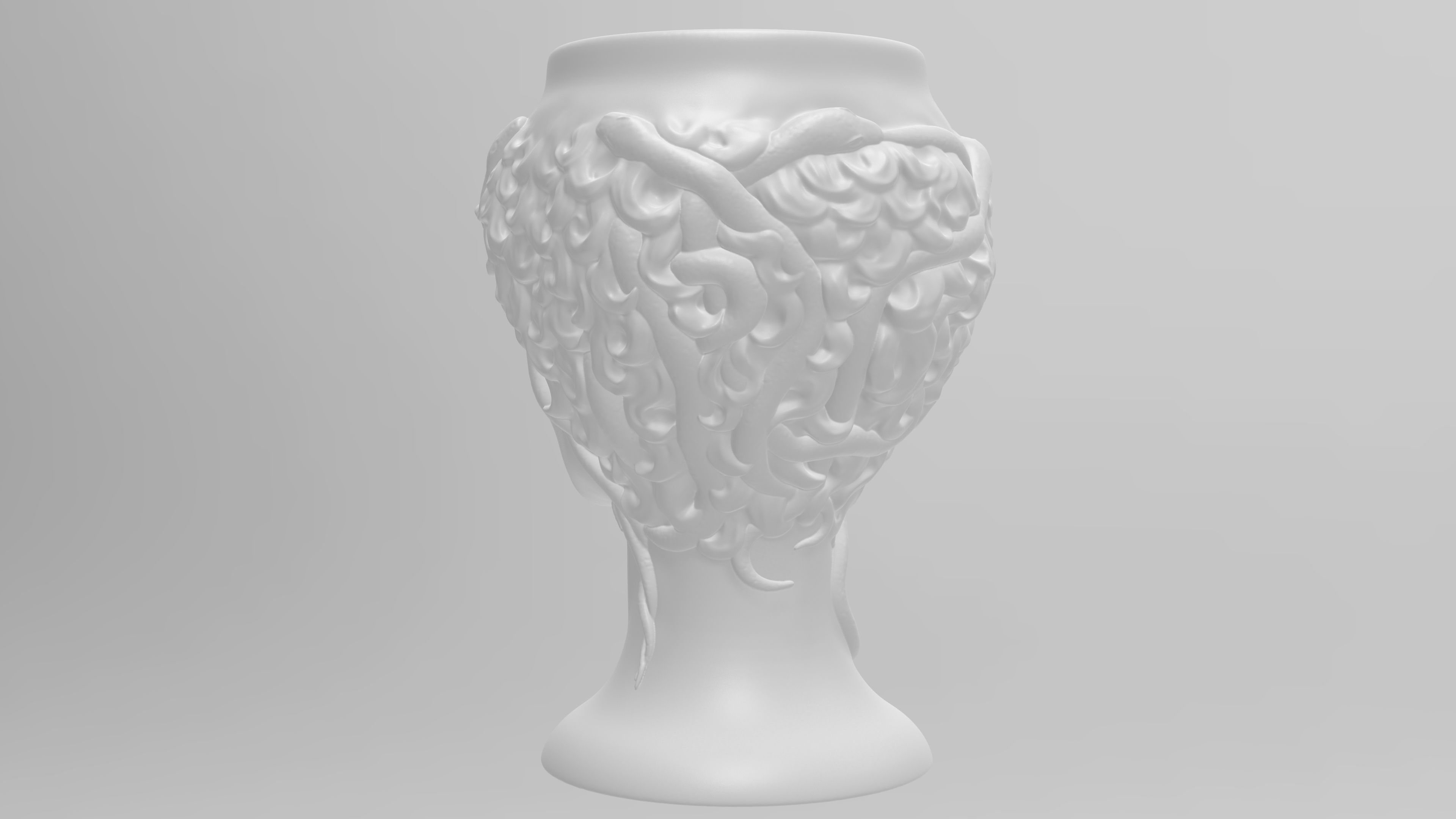 Medusa Gorgon vase 3d print model 3D print model_12
