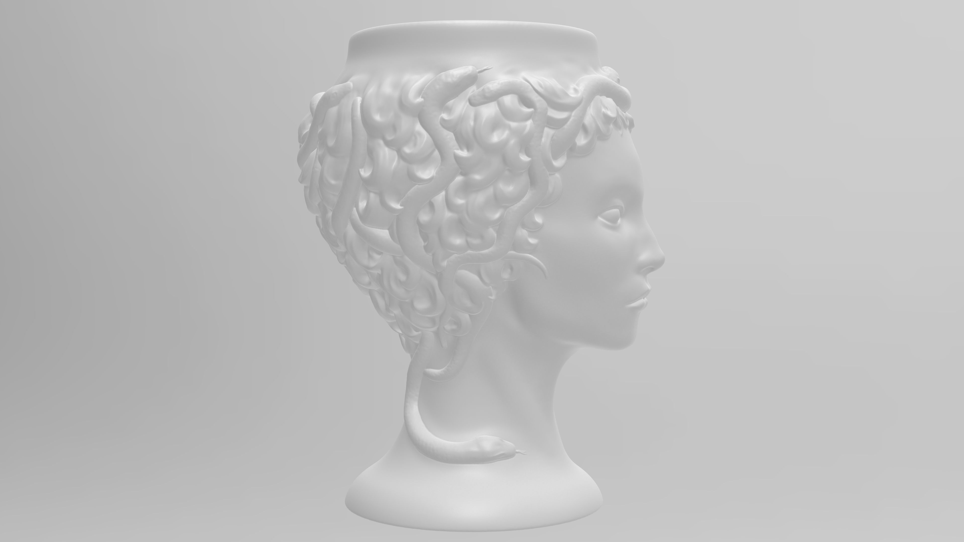 Medusa Gorgon vase 3d print model 3D print model_18