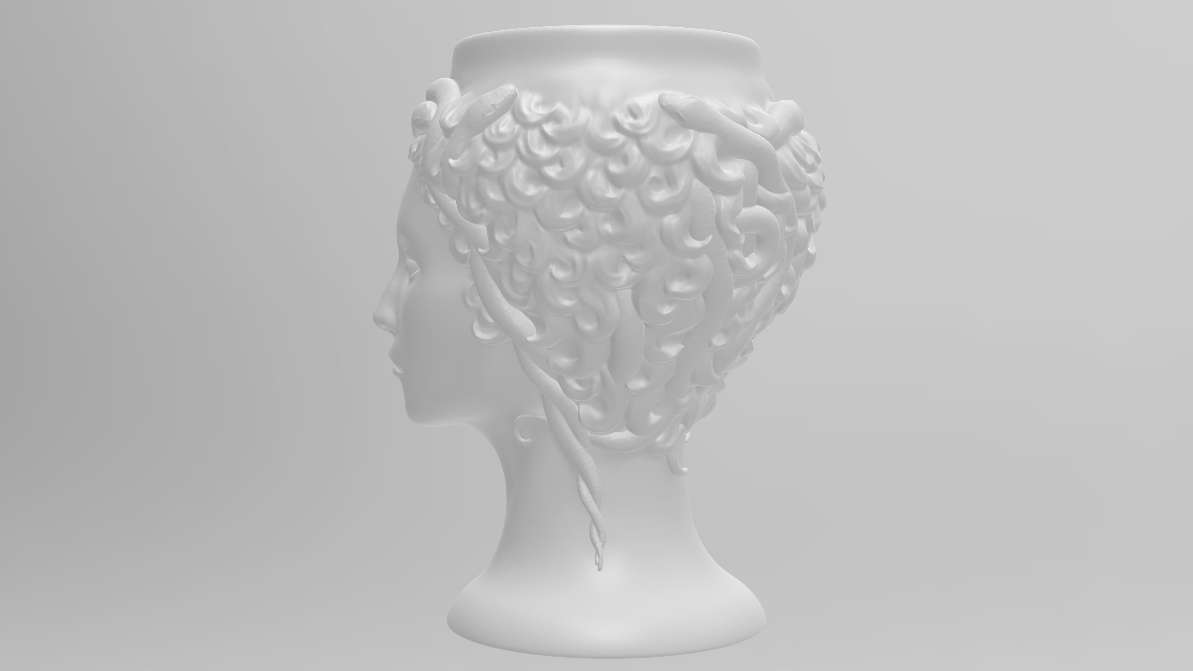 Medusa Gorgon vase 3d print model 3D print model_10