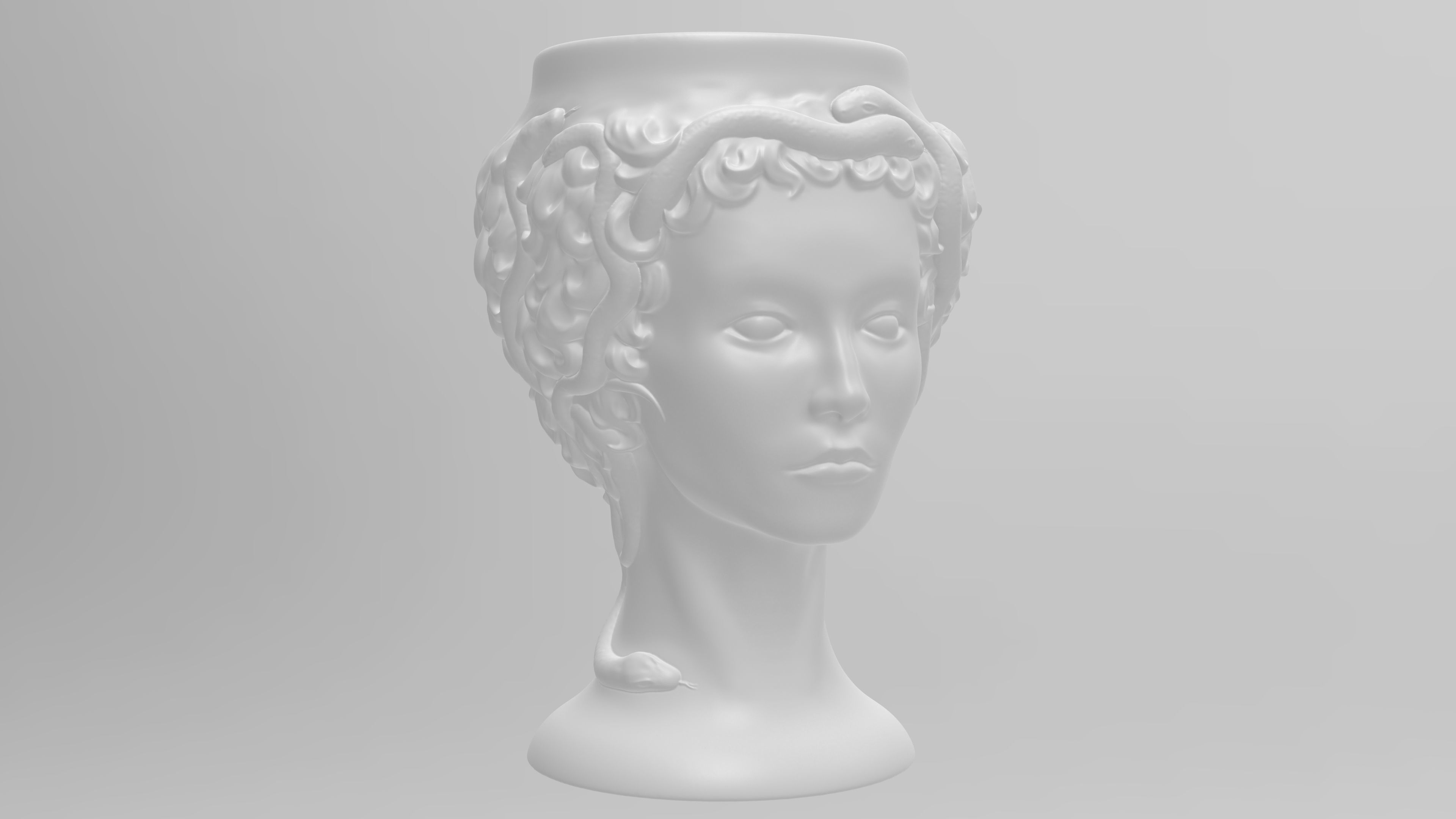 Medusa Gorgon vase 3d print model 3D print model_20