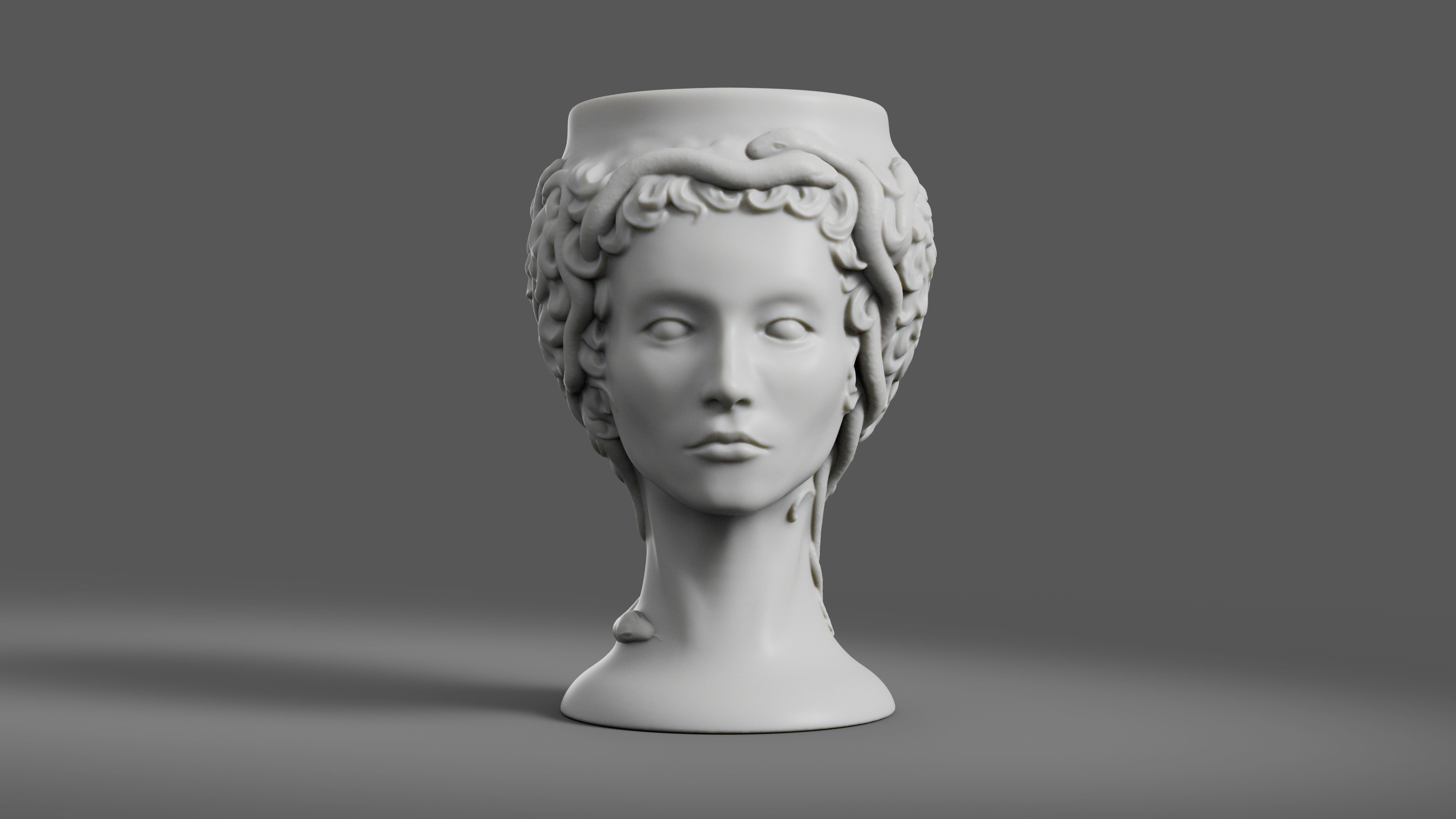 Medusa Gorgon vase 3d print model 3D print model_4