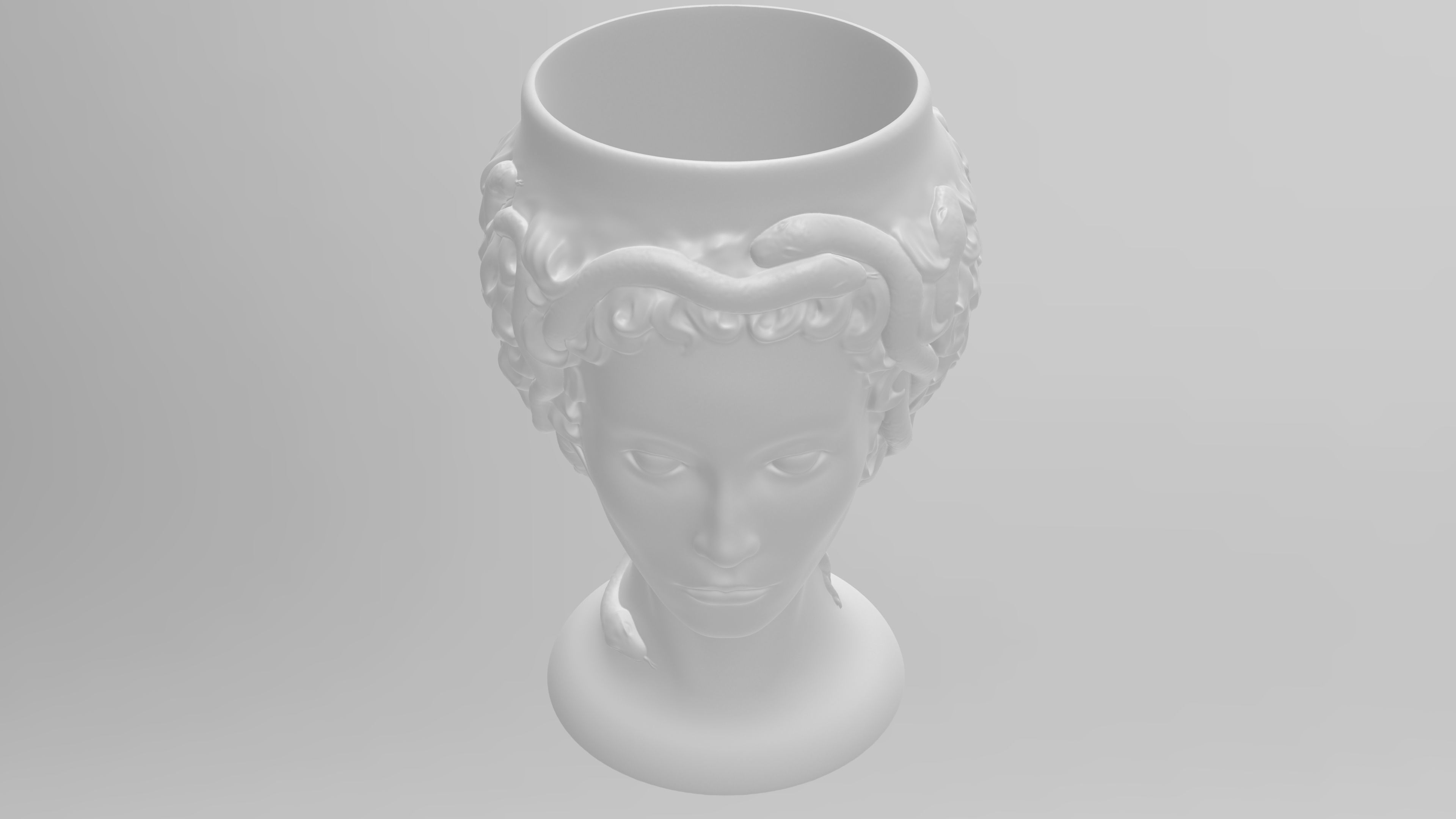 Medusa Gorgon vase 3d print model 3D print model_23