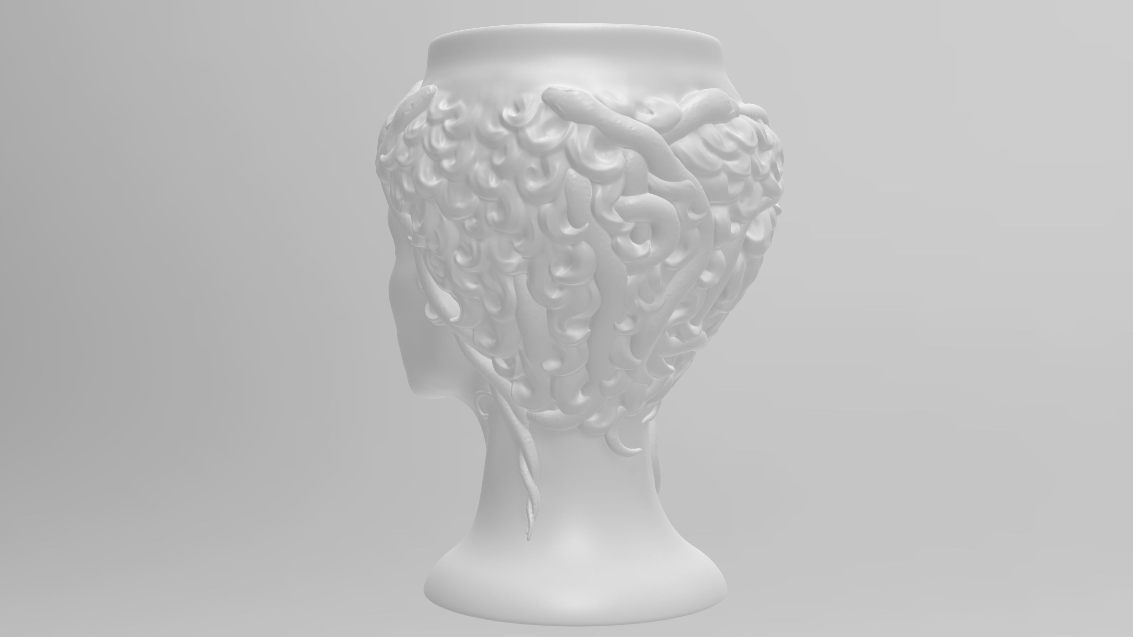 Medusa Gorgon vase 3d print model 3D print model_11
