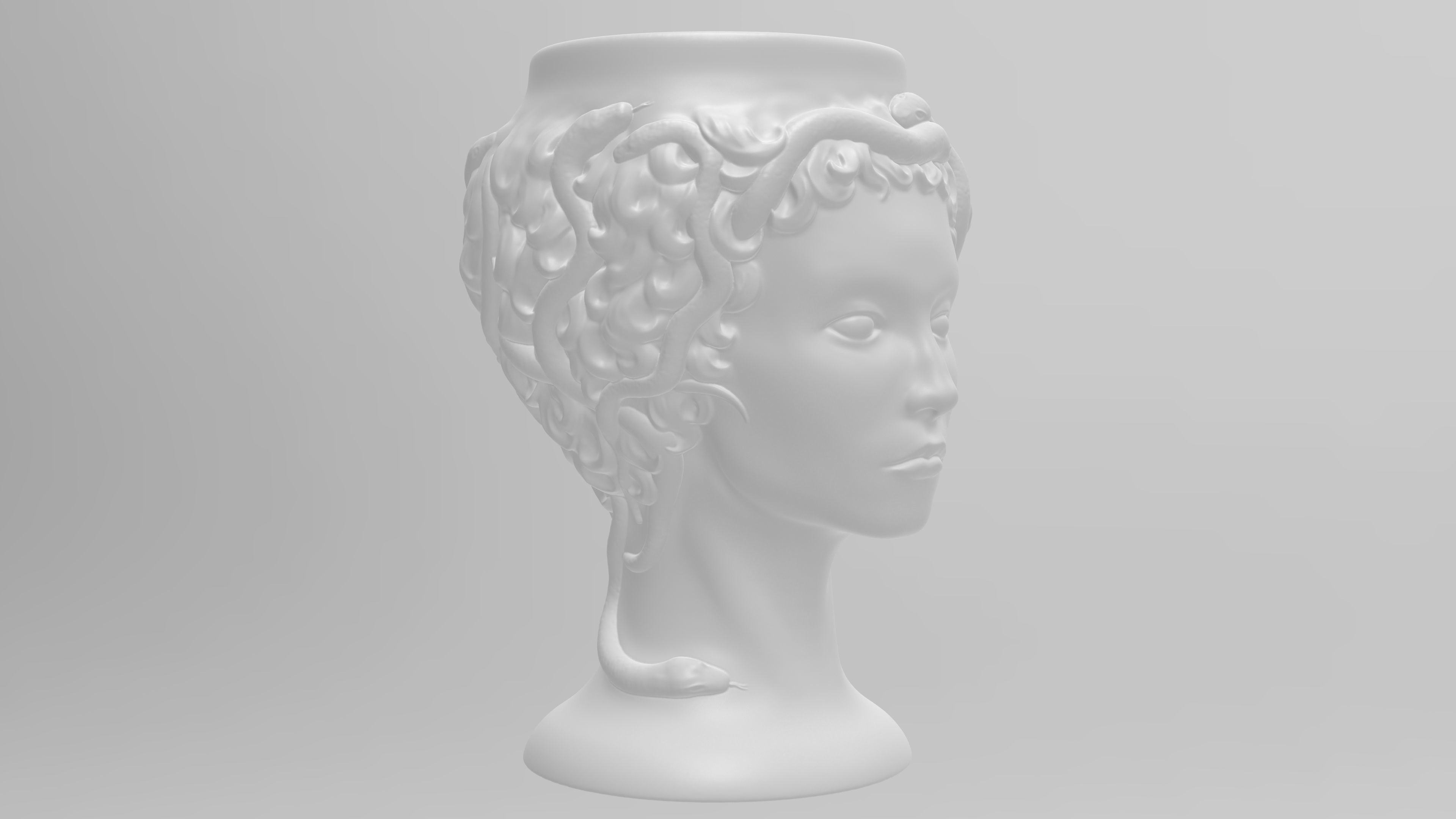 Medusa Gorgon vase 3d print model 3D print model_19