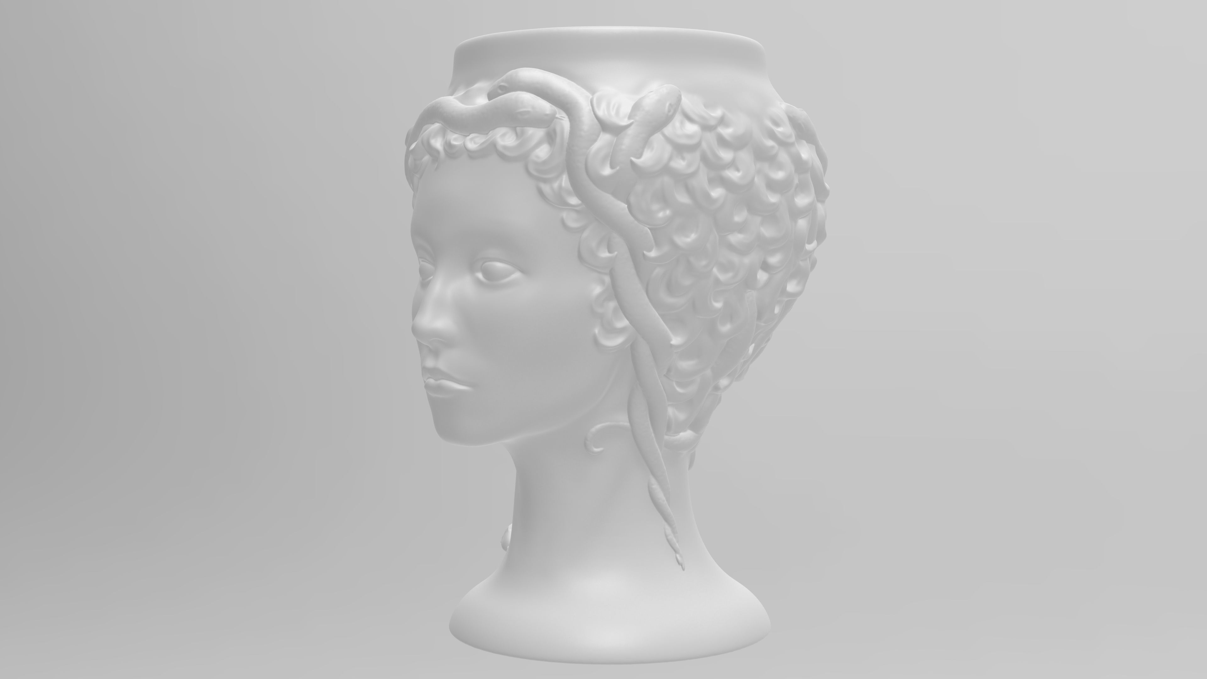 Medusa Gorgon vase 3d print model 3D print model_8