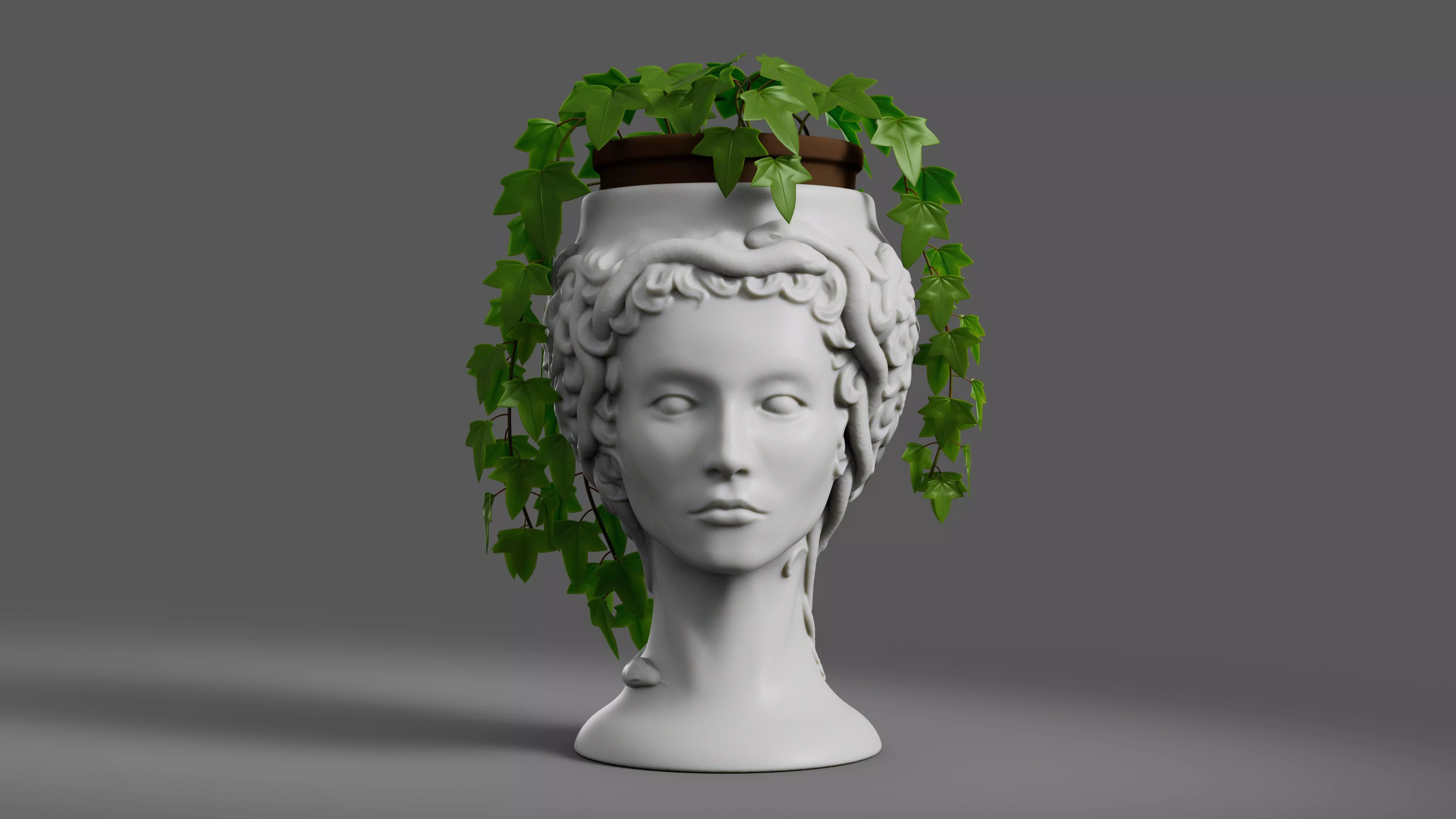 Medusa Gorgon vase 3d print model 3D print model_0
