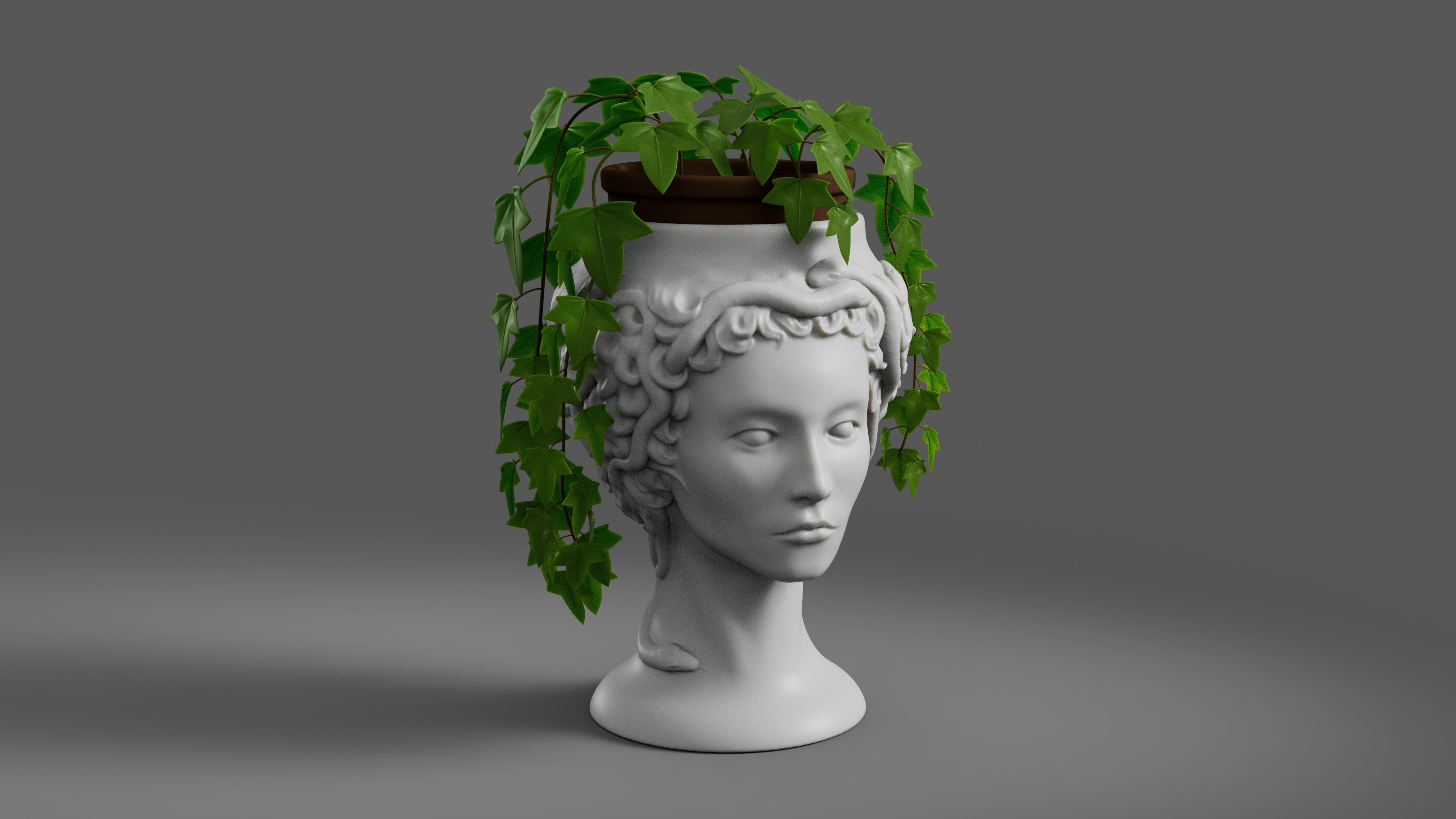 Medusa Gorgon vase 3d print model 3D print model_1