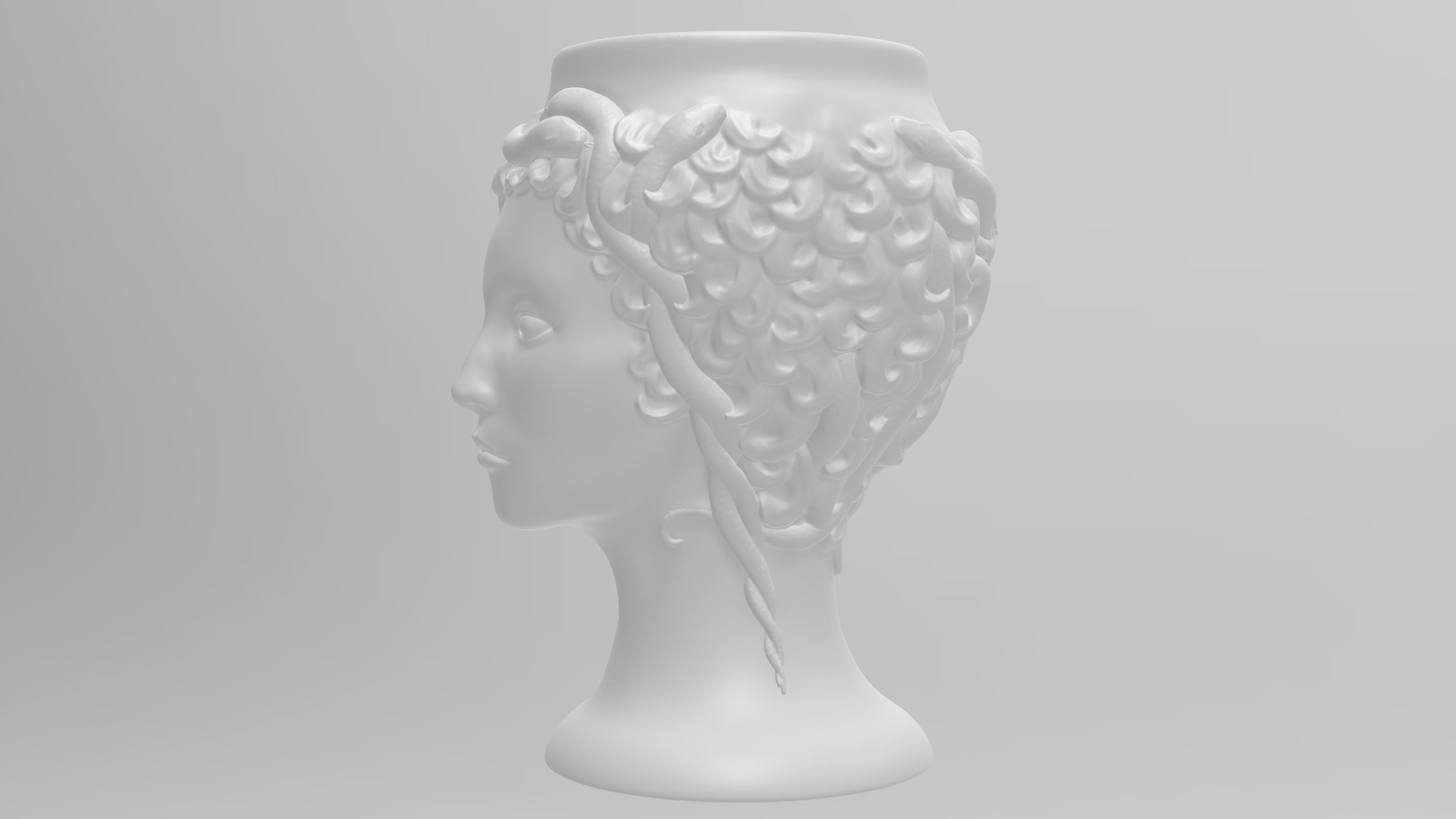 Medusa Gorgon vase 3d print model 3D print model_9
