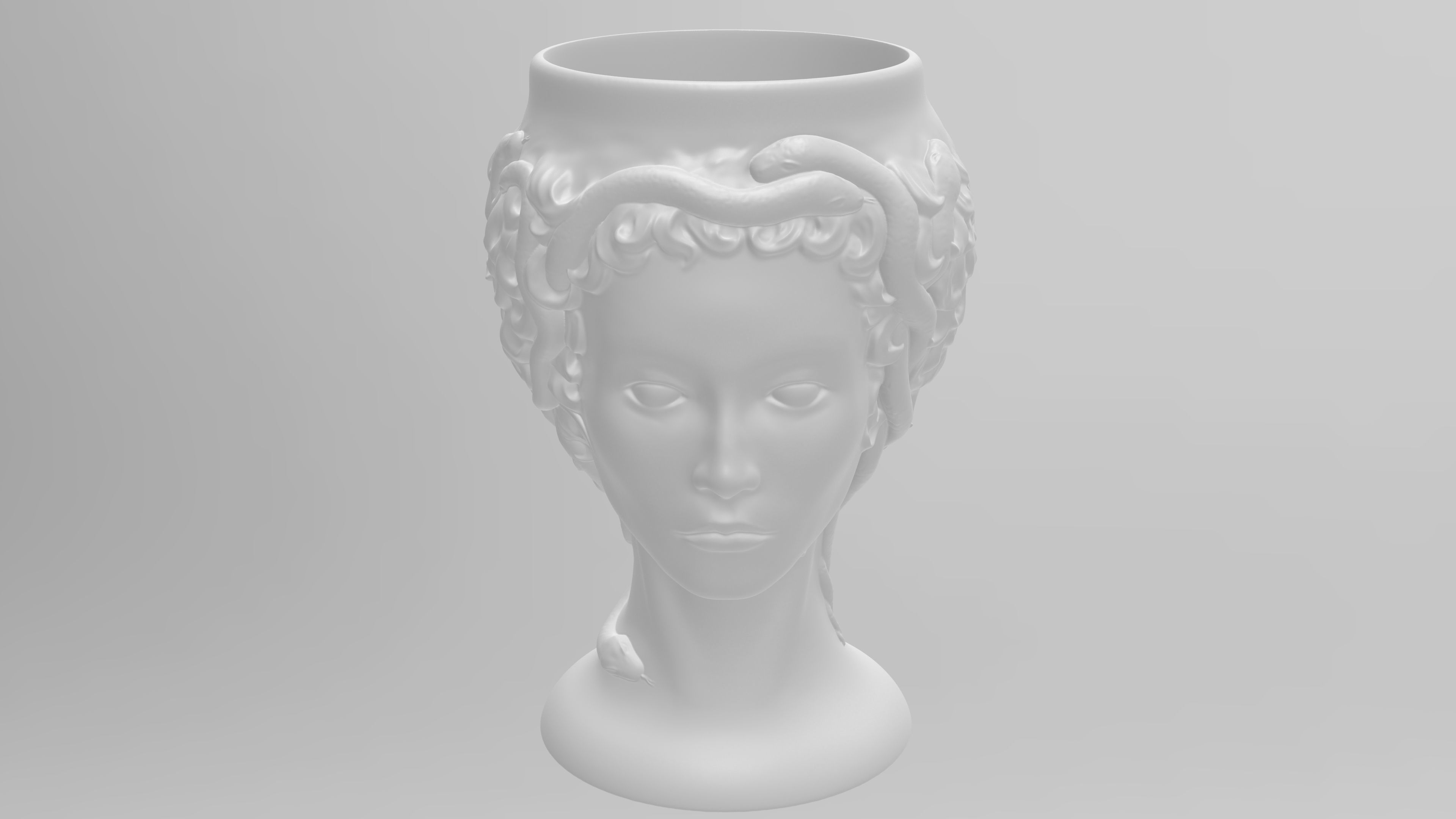 Medusa Gorgon vase 3d print model 3D print model_22
