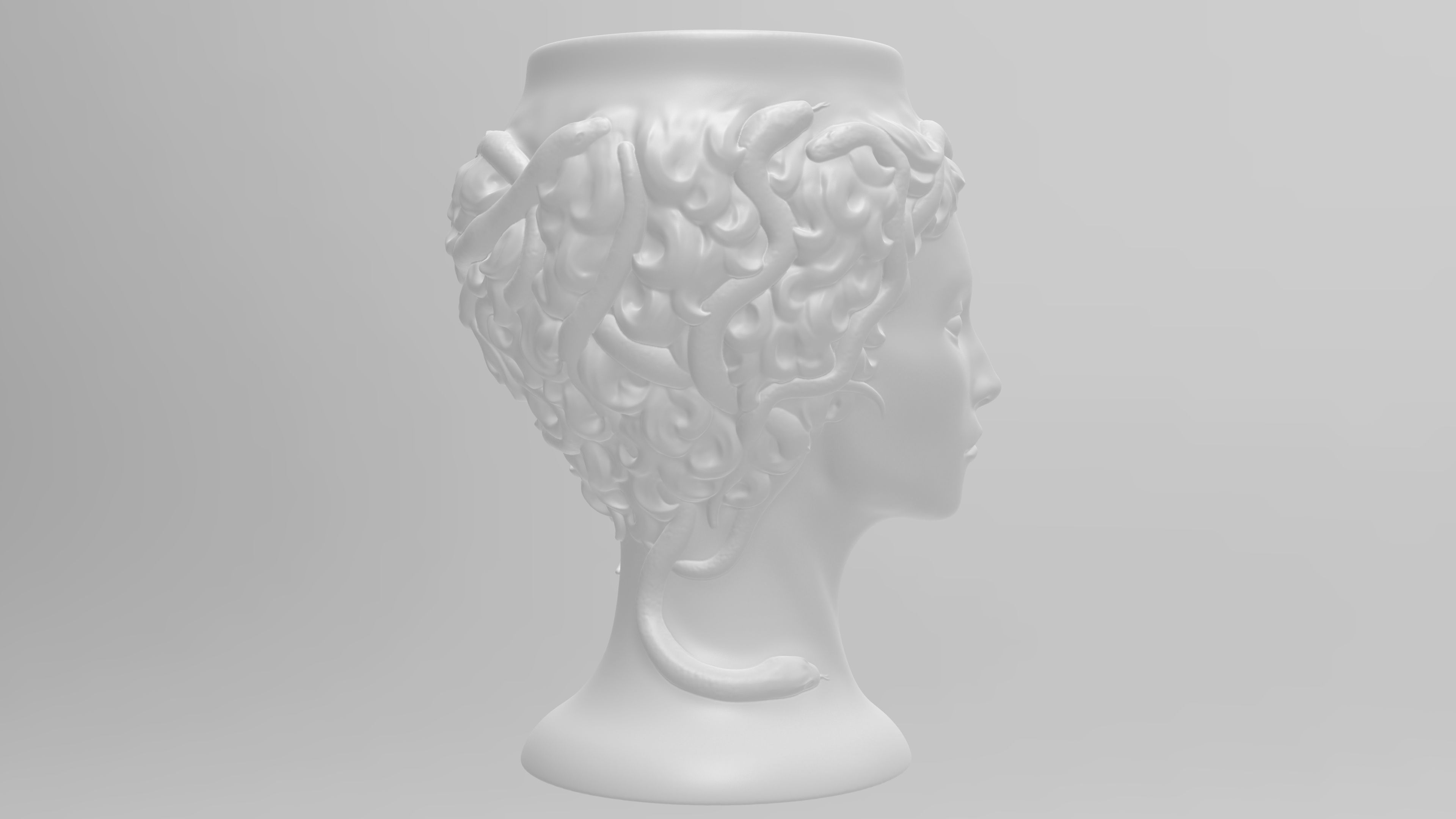 Medusa Gorgon vase 3d print model 3D print model_17