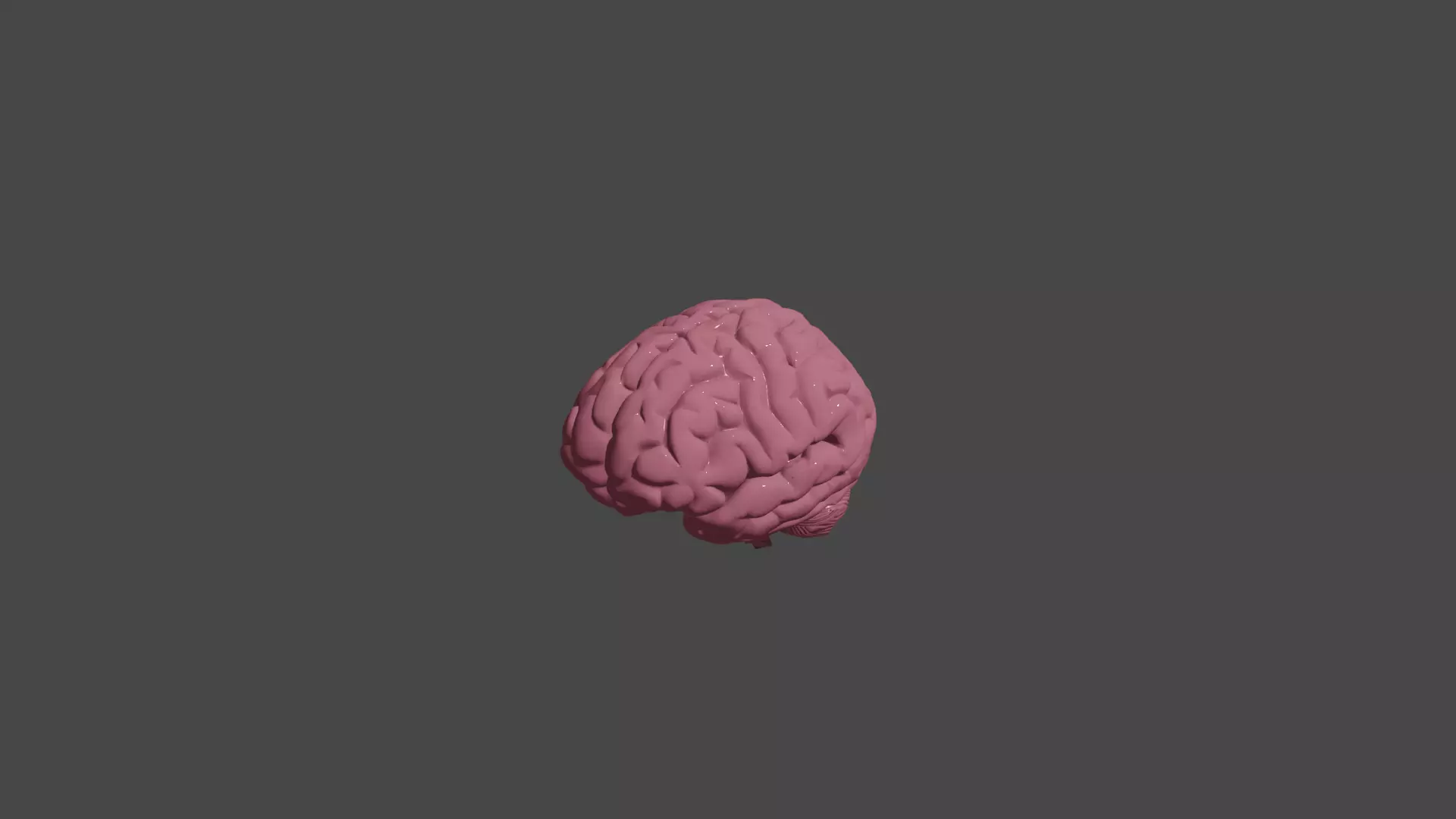 Brain human blender free med poly Free 3D model