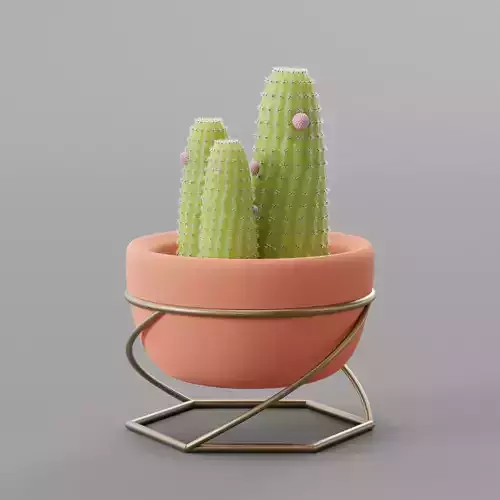 Procedural cactus
