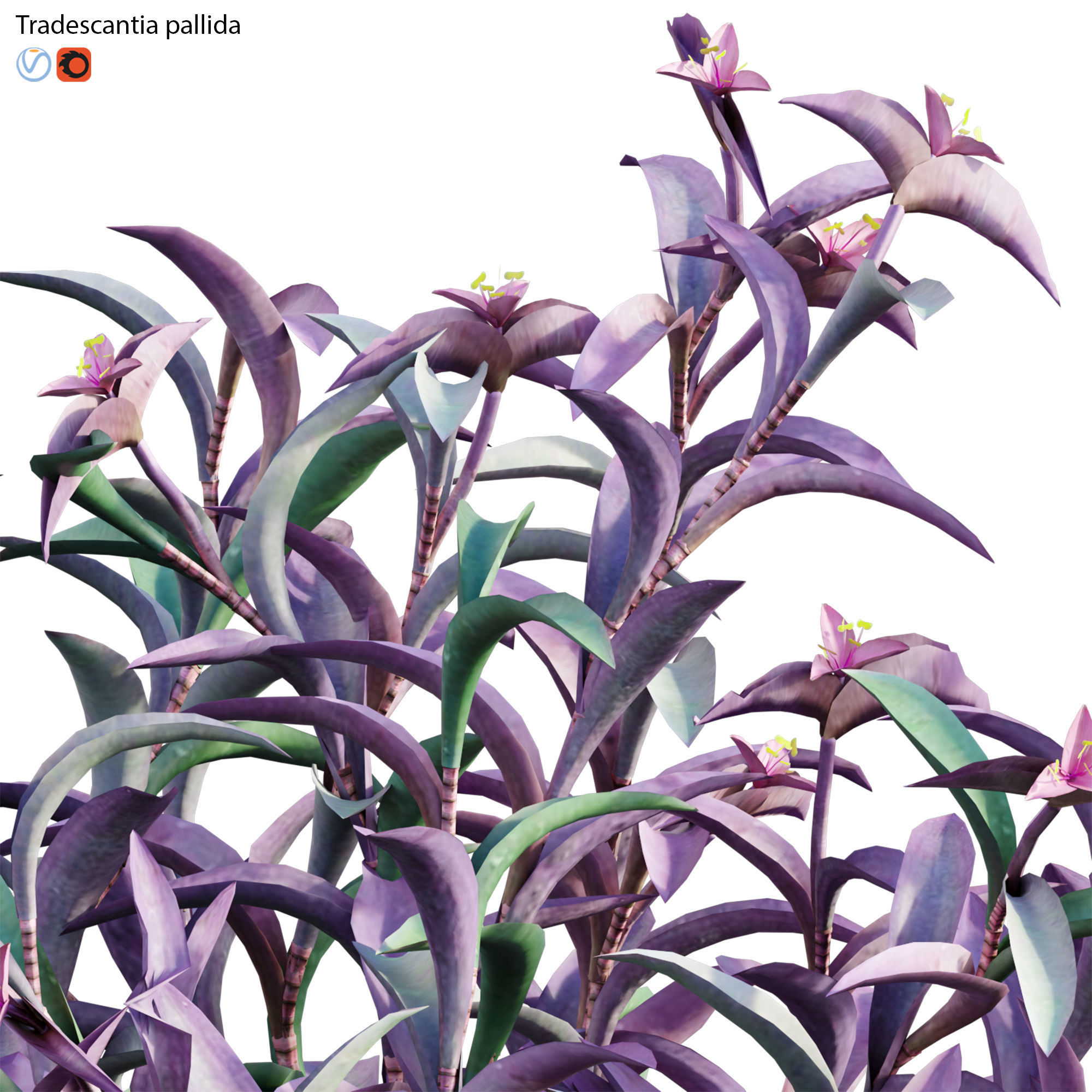 Bundle 21  Vertical garden 3D model_31