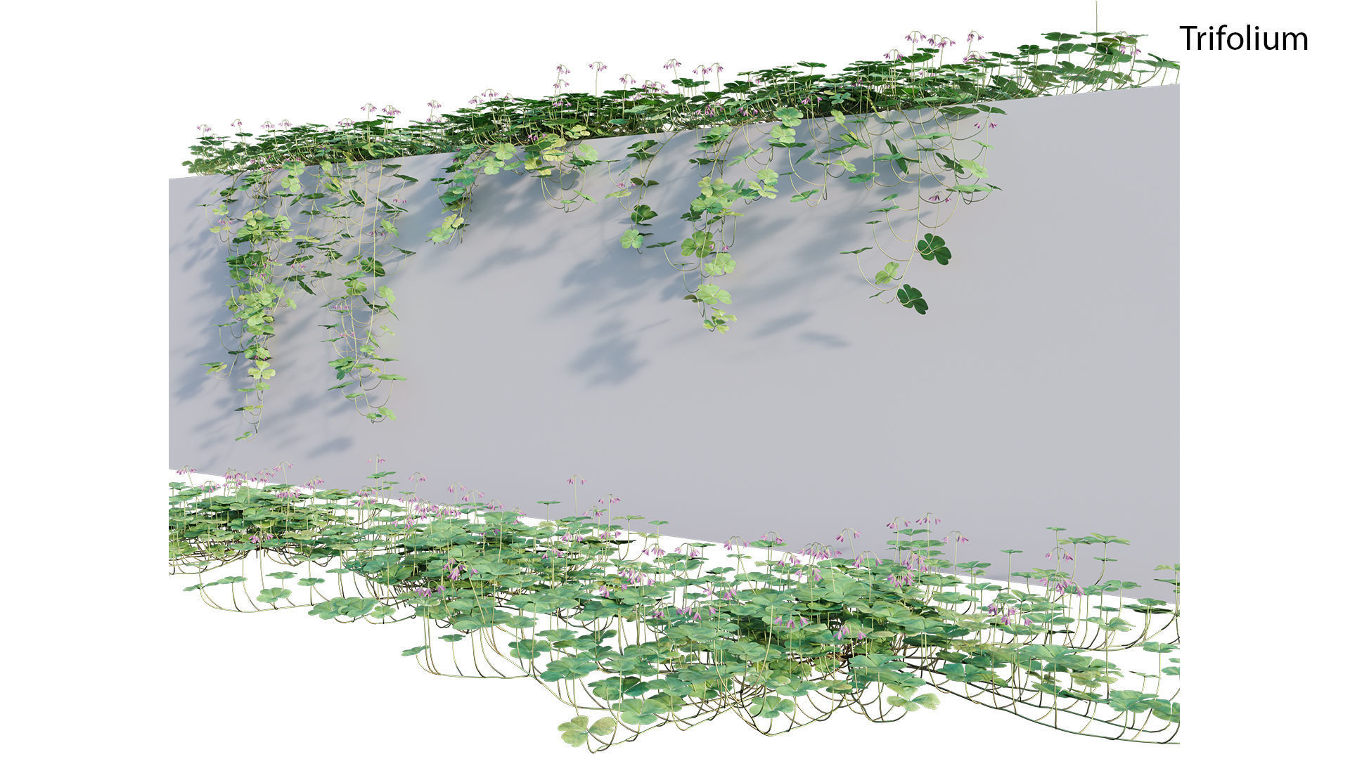 Bundle 21  Vertical garden 3D model_32