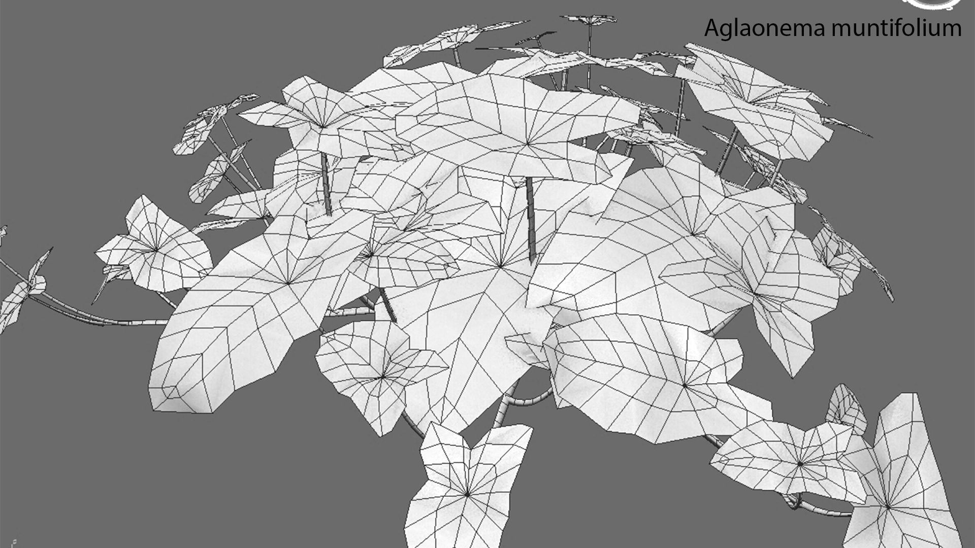Bundle 21  Vertical garden 3D model_7
