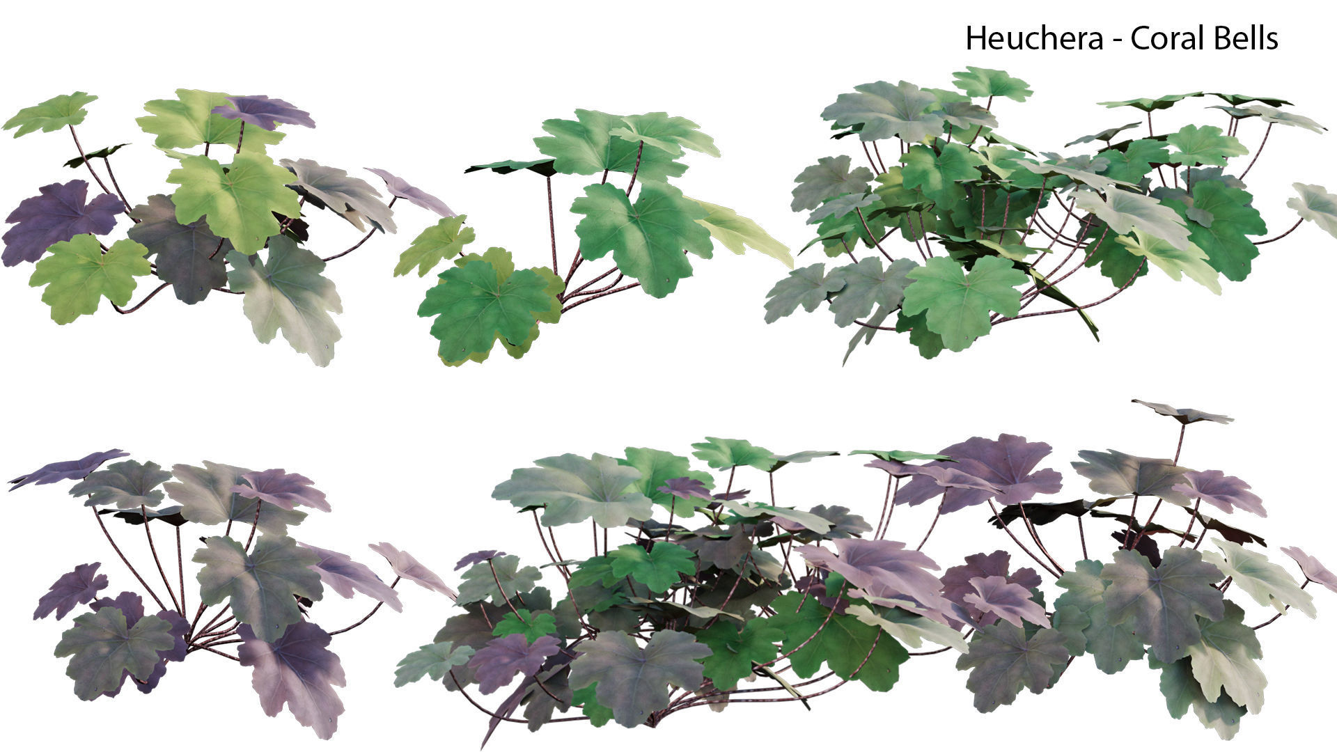 Bundle 21  Vertical garden 3D model_11