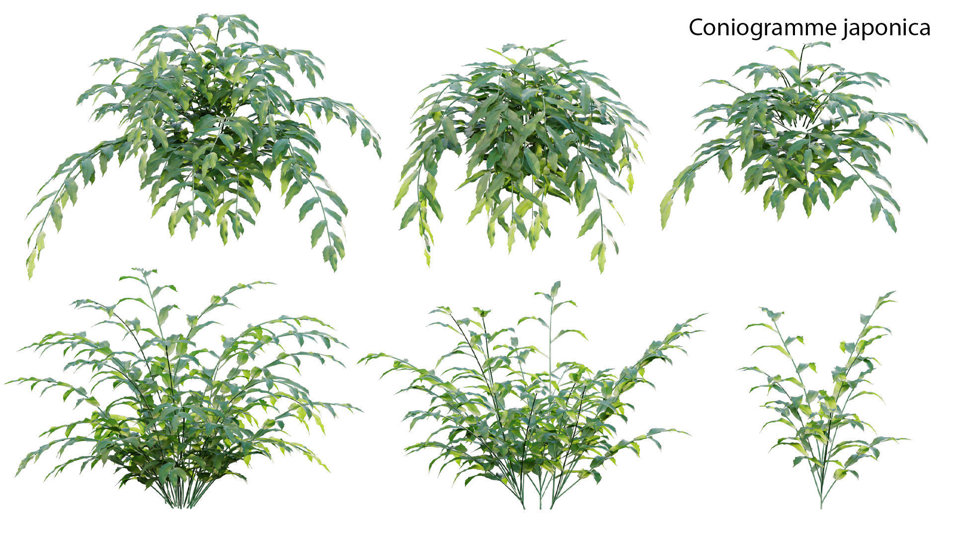 Bundle 21  Vertical garden 3D model_36