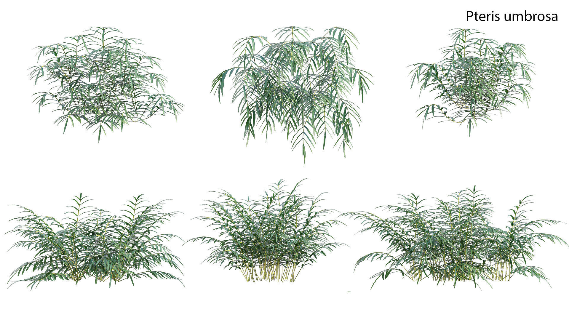 Bundle 21  Vertical garden 3D model_27