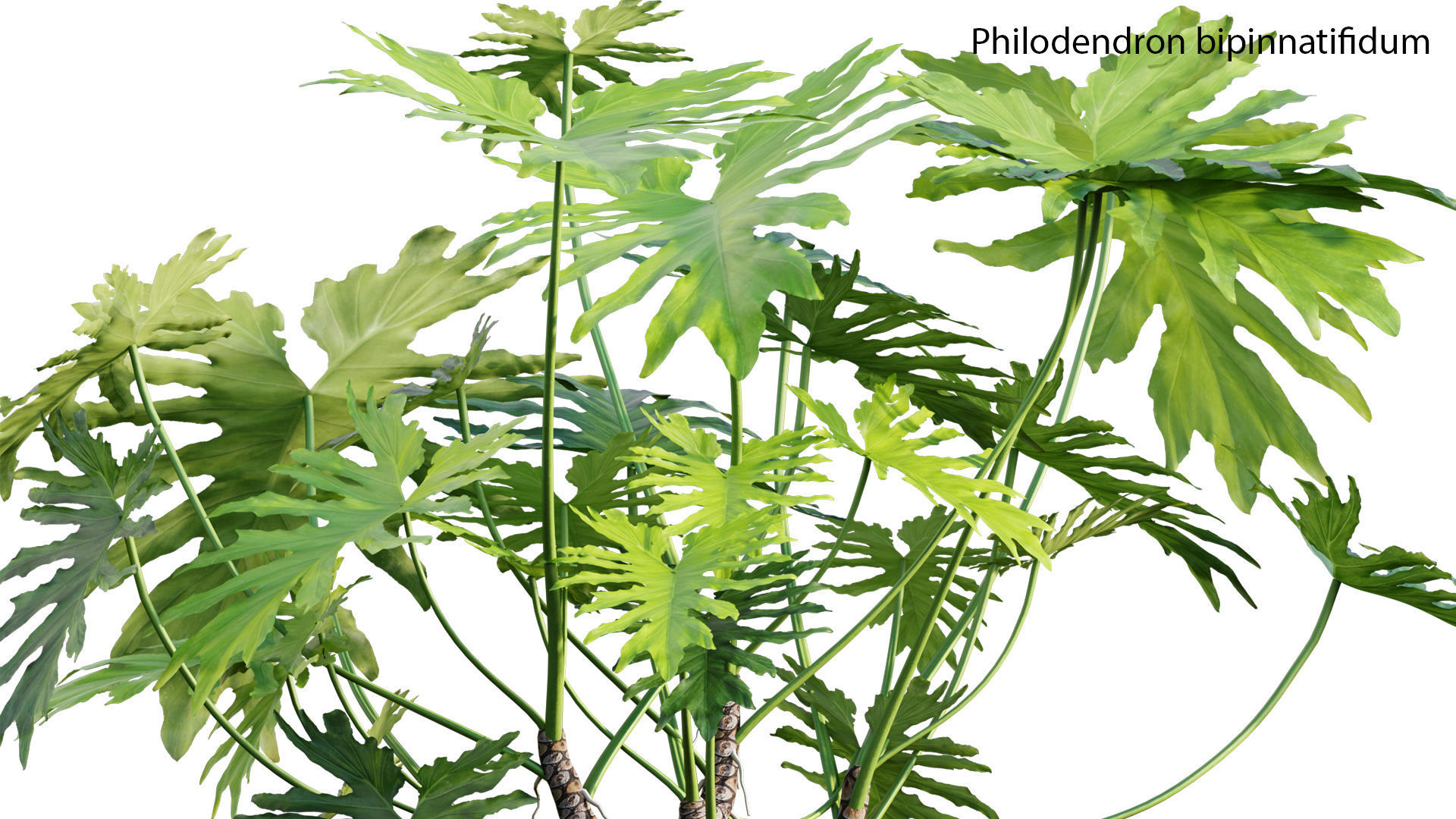 Bundle 21  Vertical garden 3D model_25