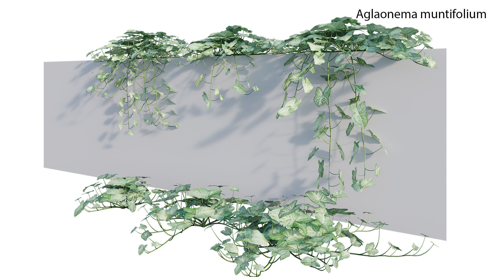 Bundle 21  Vertical garden 3D model_5