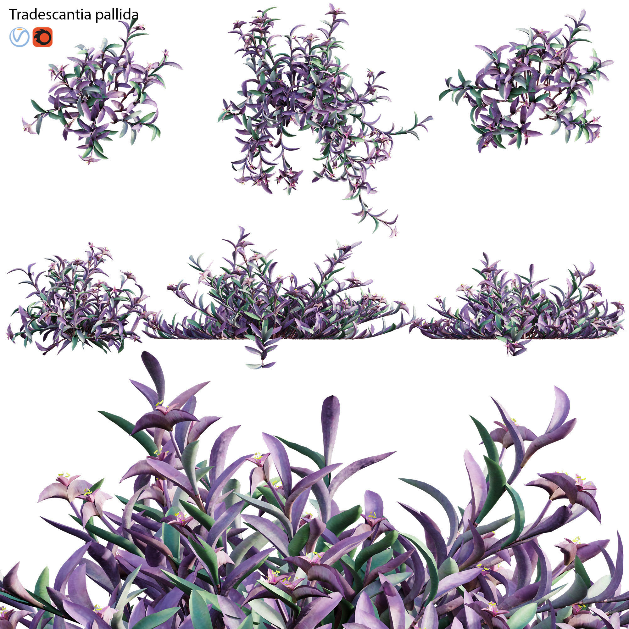 Bundle 21  Vertical garden 3D model_30