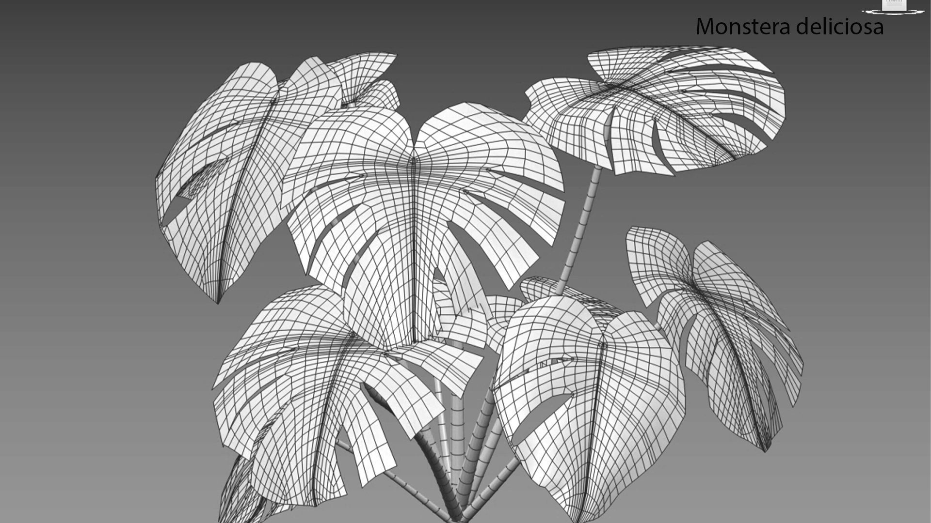 Bundle 21  Vertical garden 3D model_20