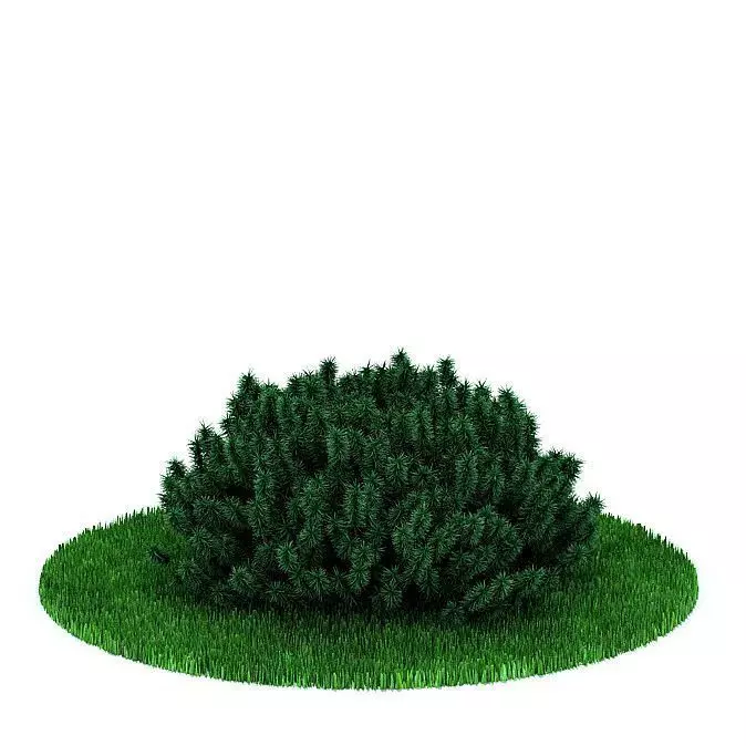 Green Bush Plant 3D model