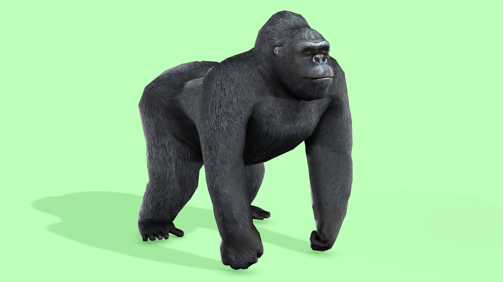 Gorilla Rigged Animated 9 Low-poly 3D model_3