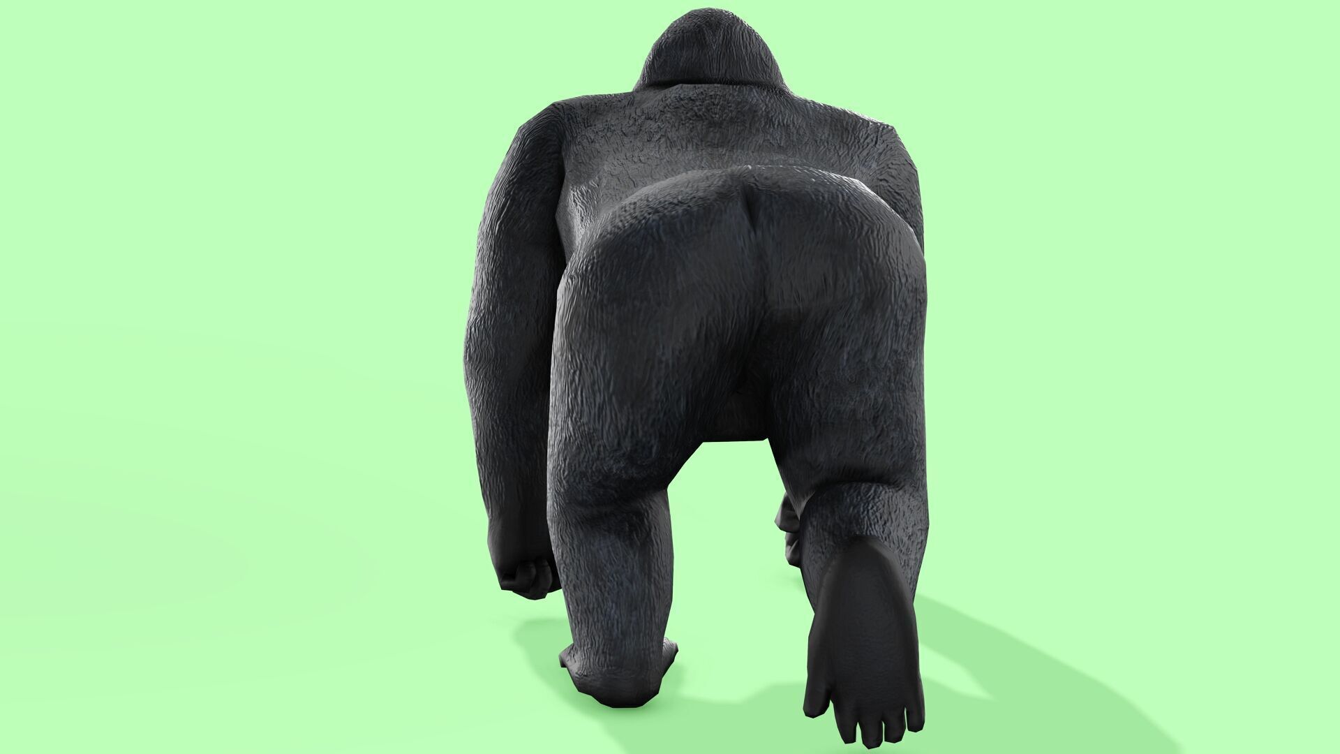 Gorilla Rigged Animated 9 Low-poly 3D model_9