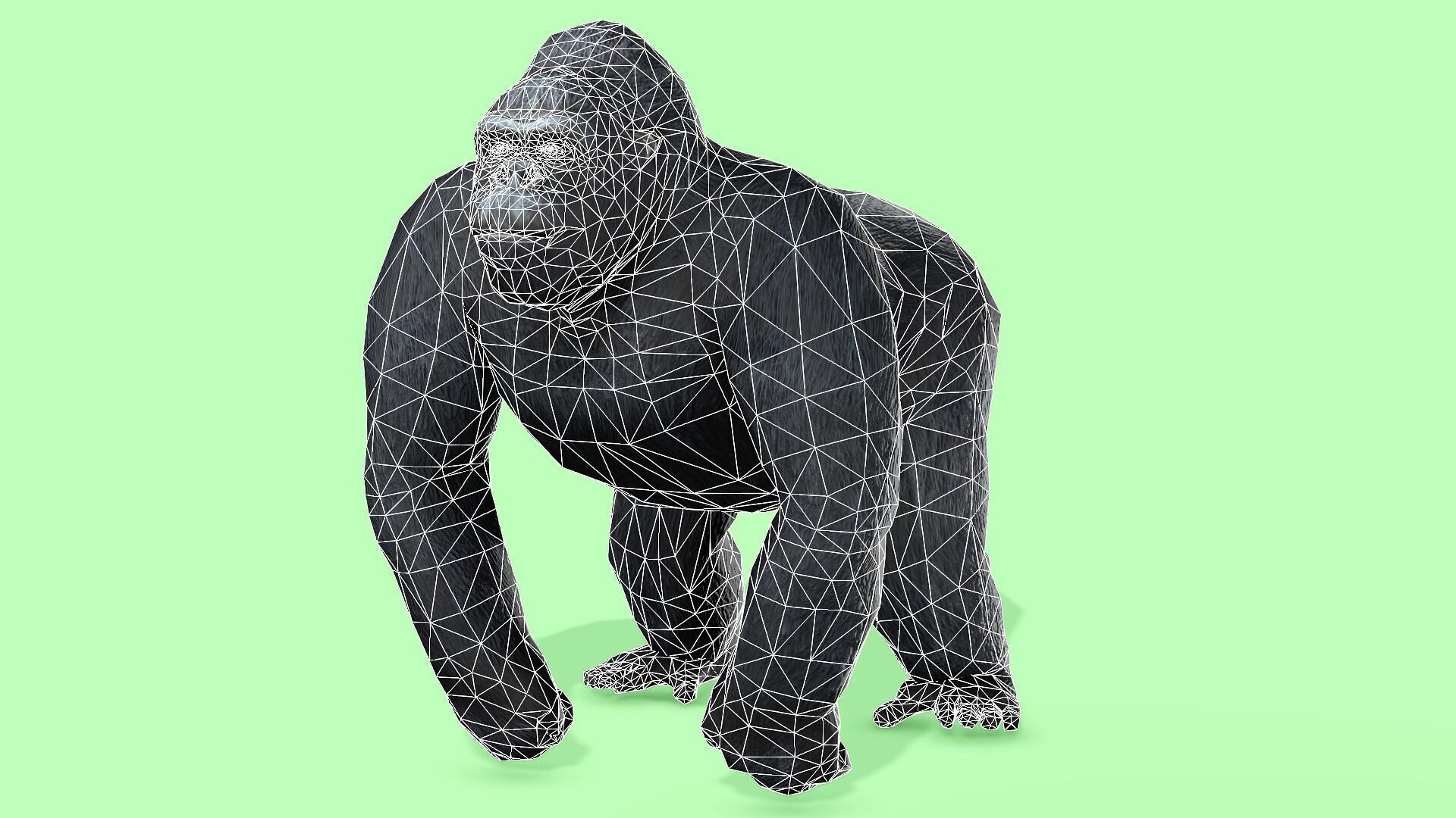 Gorilla Rigged Animated 9 Low-poly 3D model_13