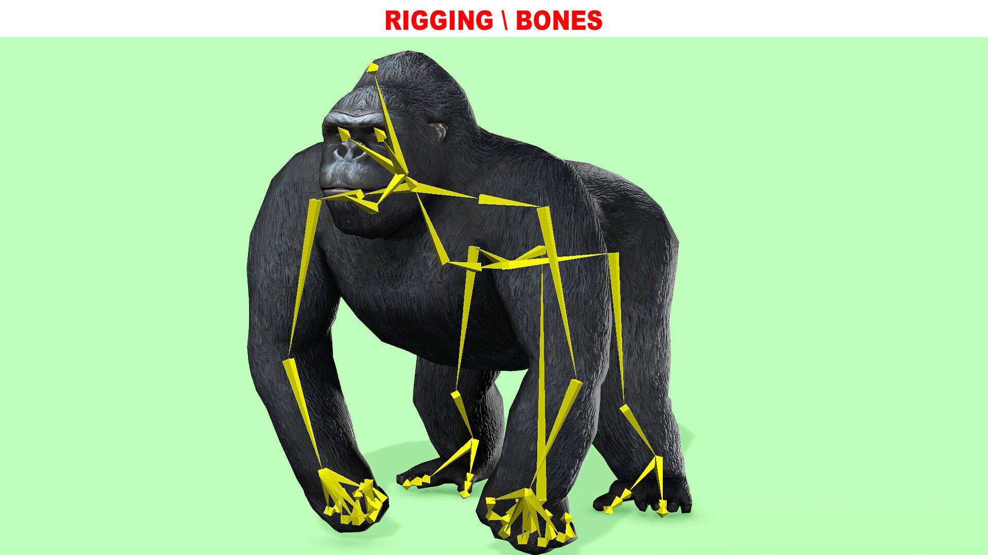 Gorilla Rigged Animated 9 Low-poly 3D model_11