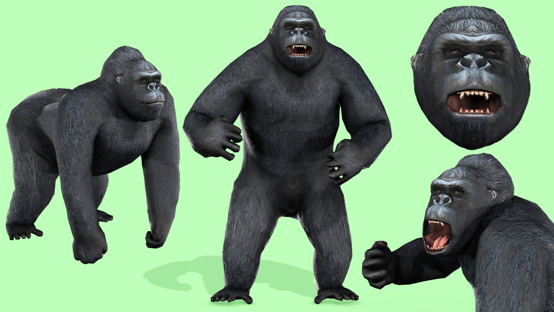 Gorilla Rigged Animated 9 Low-poly 3D model_2