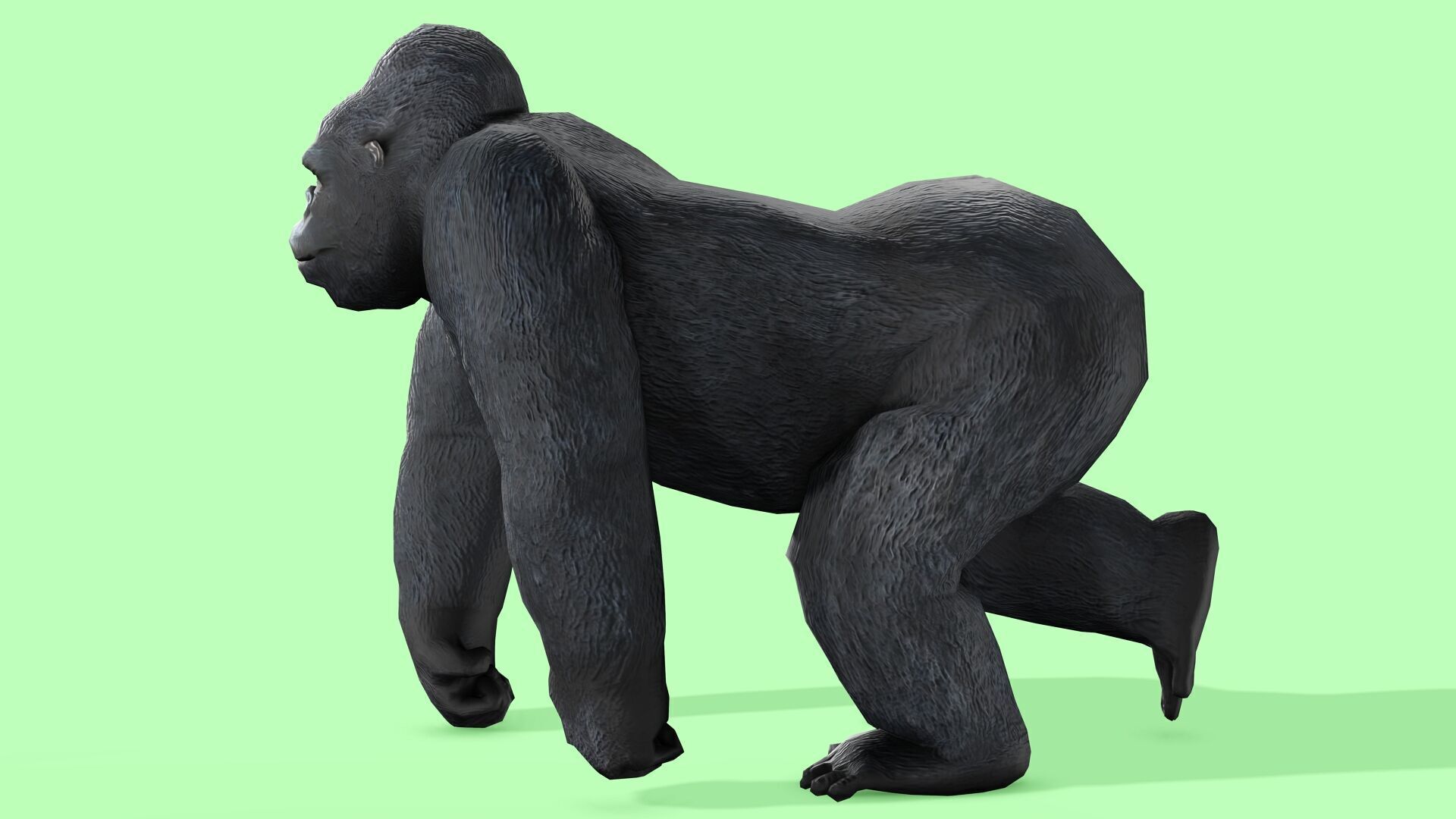 Gorilla Rigged Animated 9 Low-poly 3D model_6