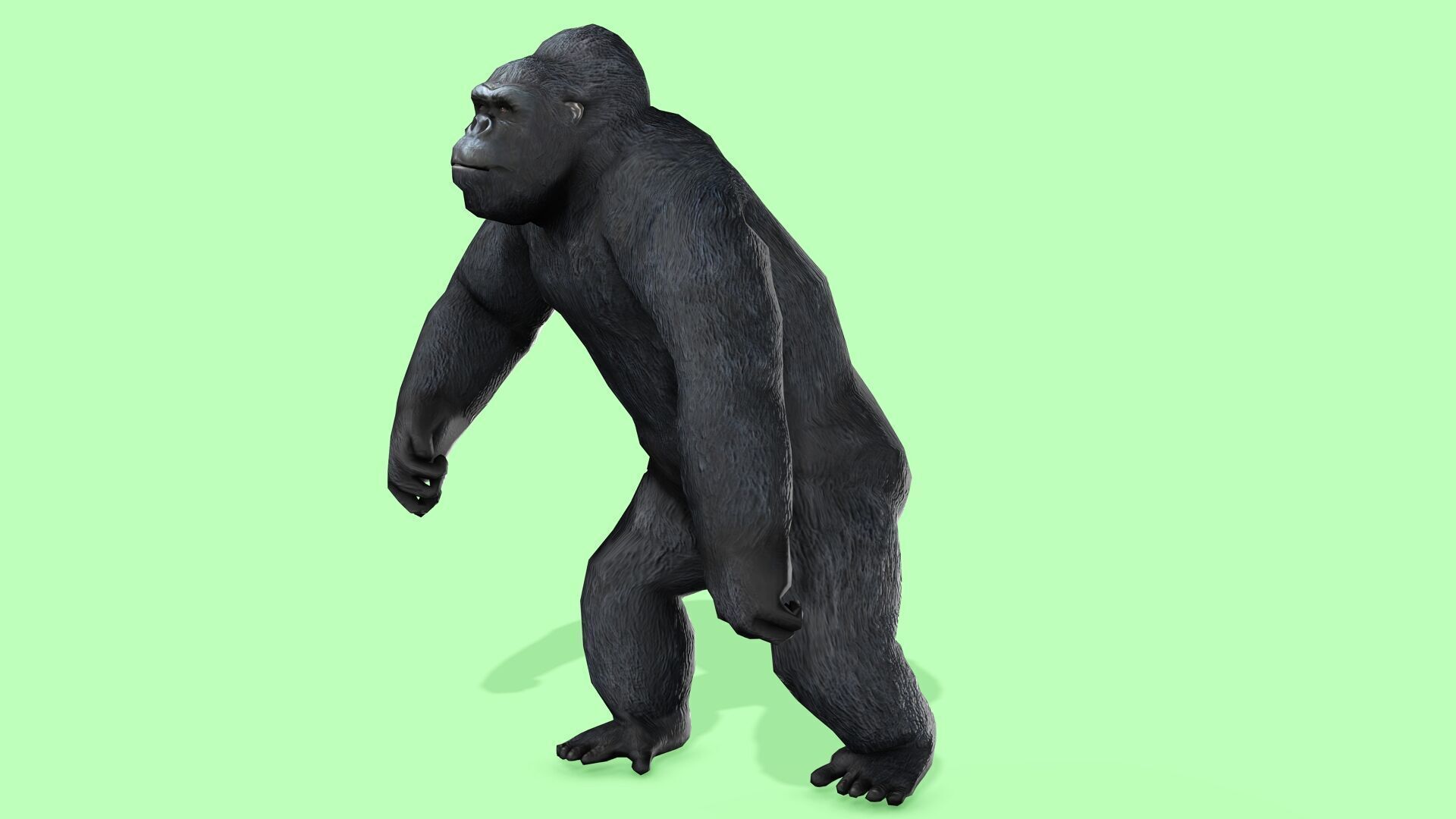 Gorilla Rigged Animated 9 Low-poly 3D model_4