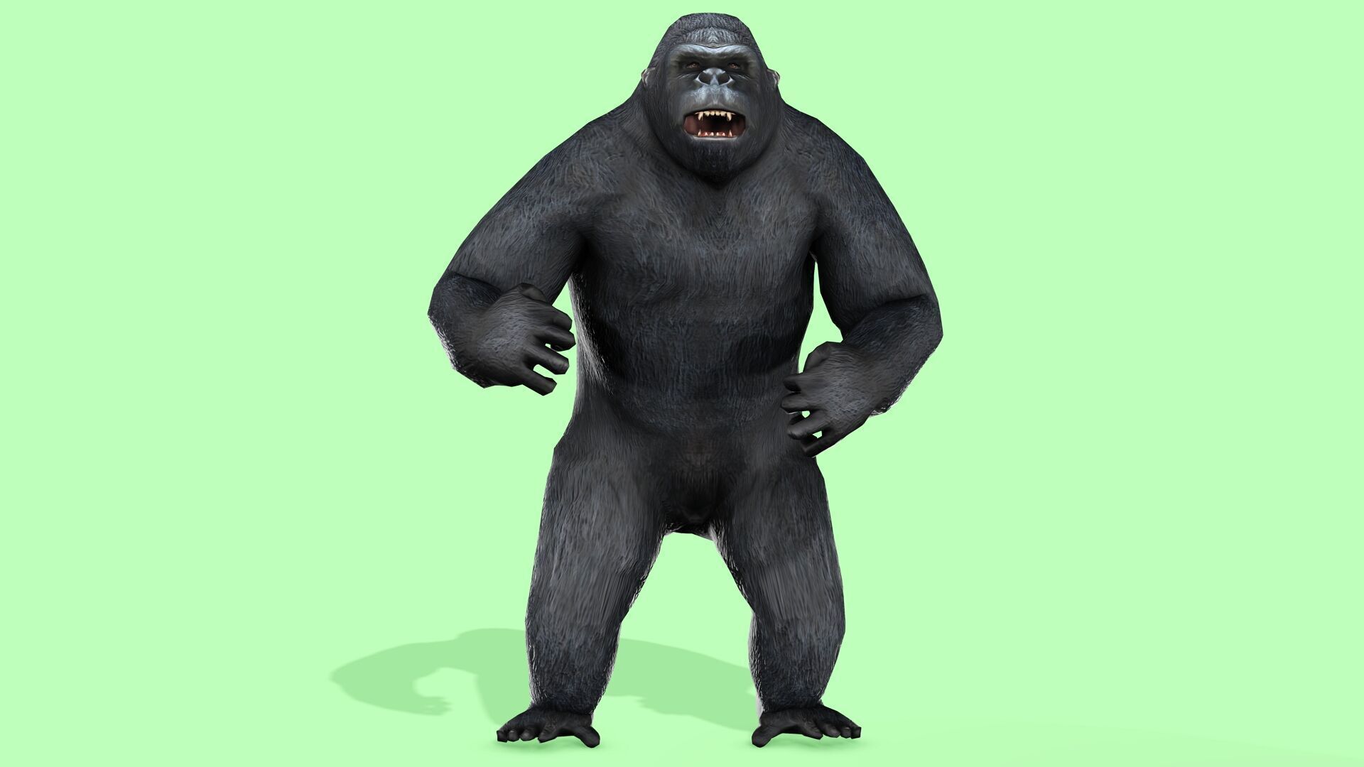Gorilla Rigged Animated 9 Low-poly 3D model_7